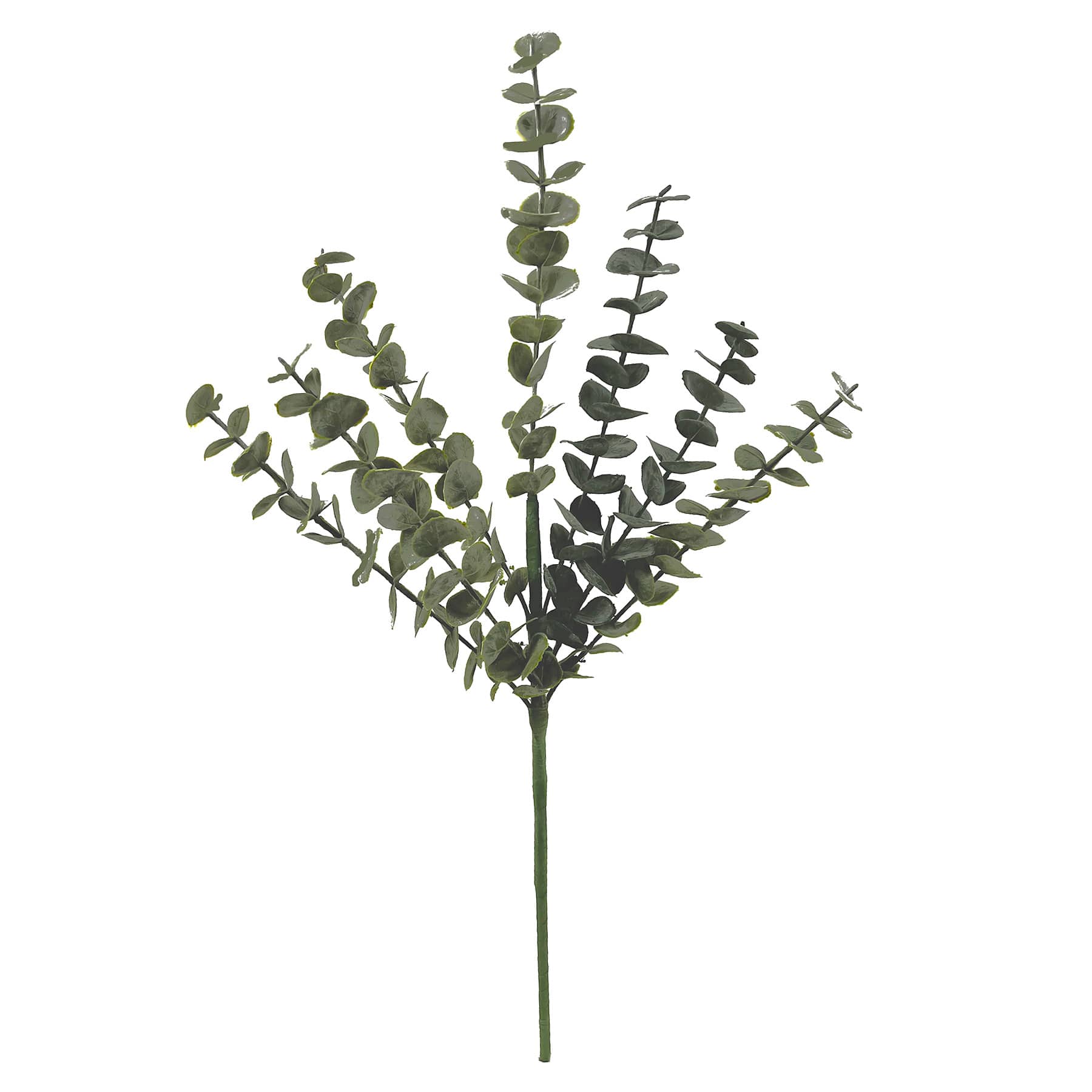 Eucalyptus Spray, 23"