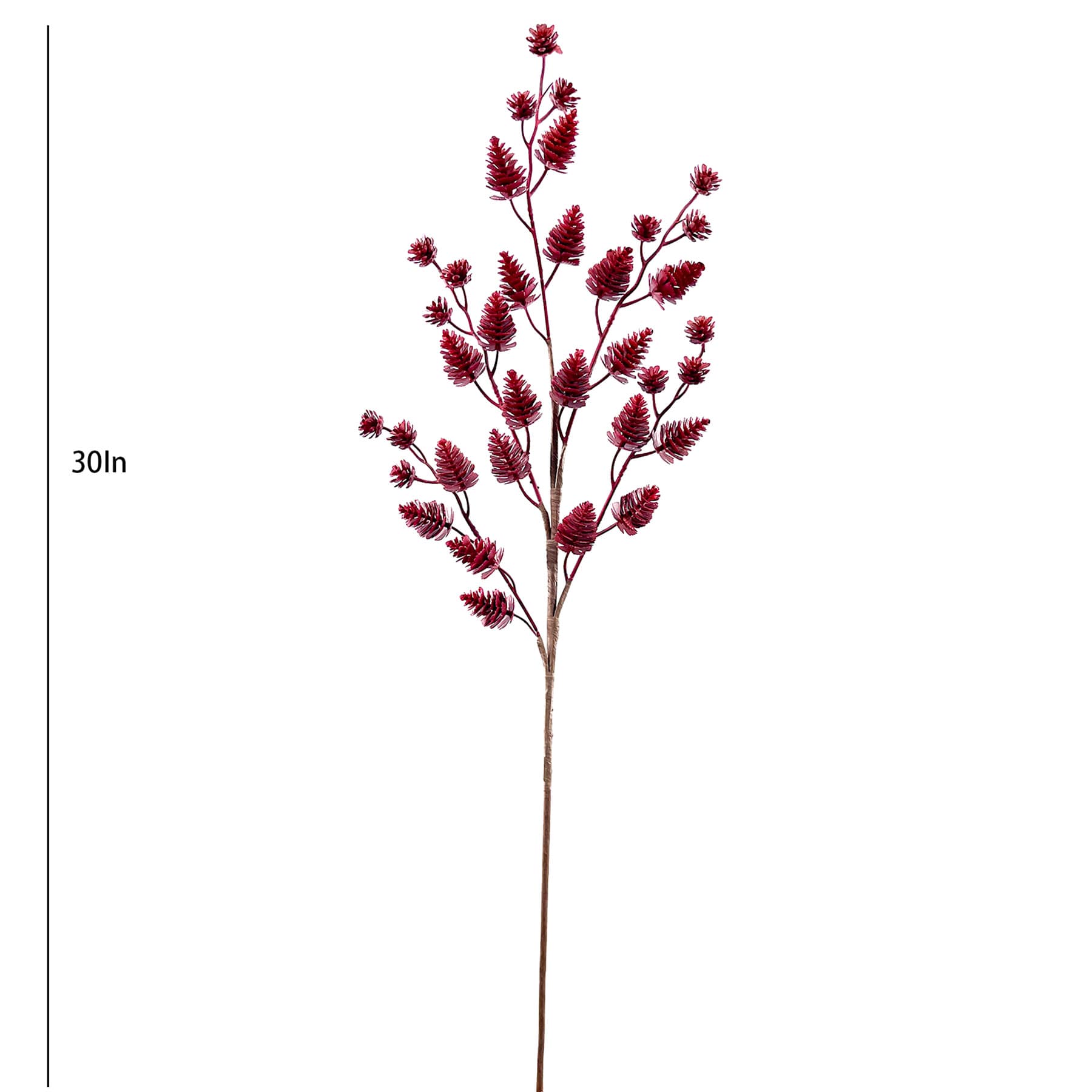 Pinecone Stem, 30"