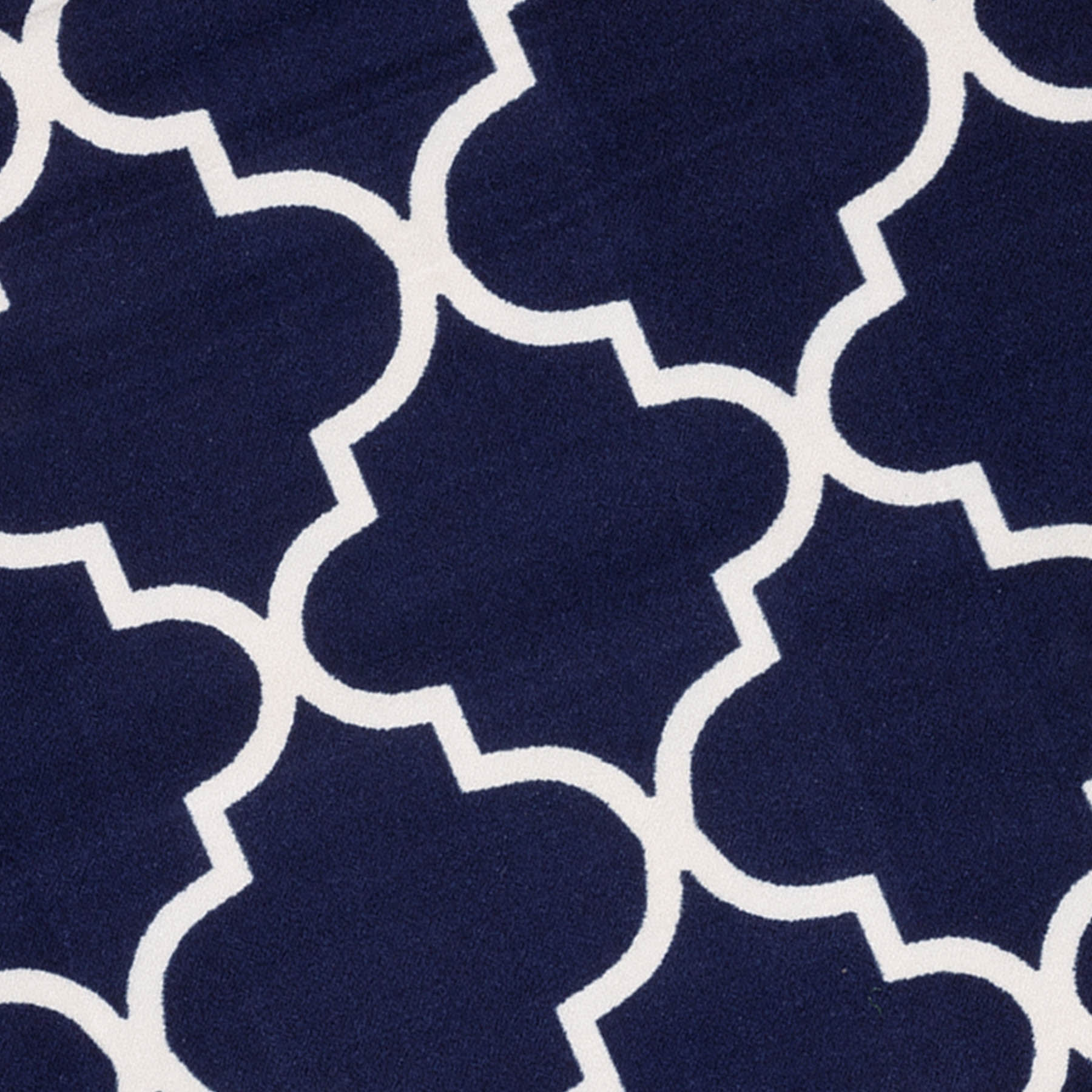 (D626) Brading Navy Blue Trellis Area Rug, 7x9