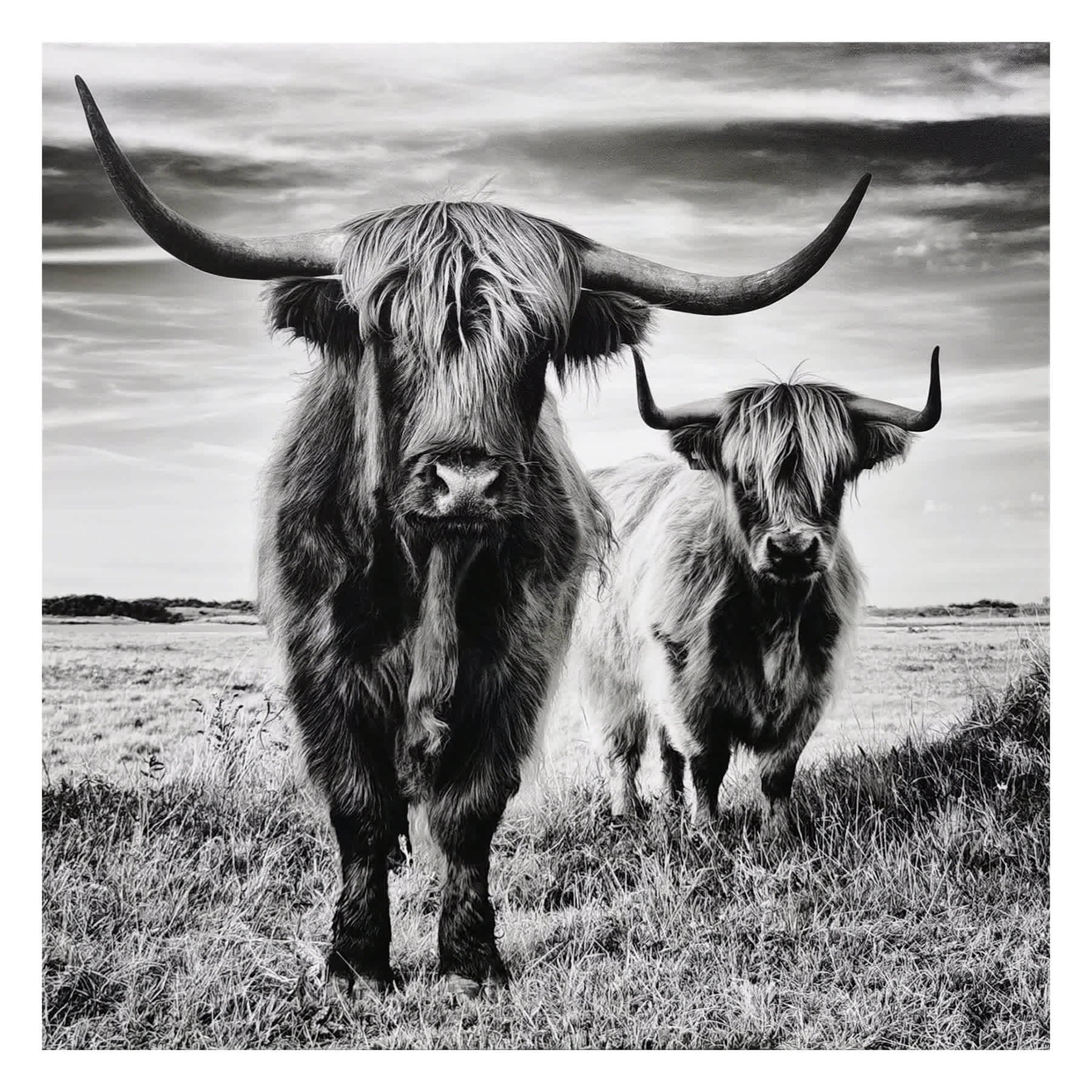 Highland Cows Canvas Wall Art, 24"