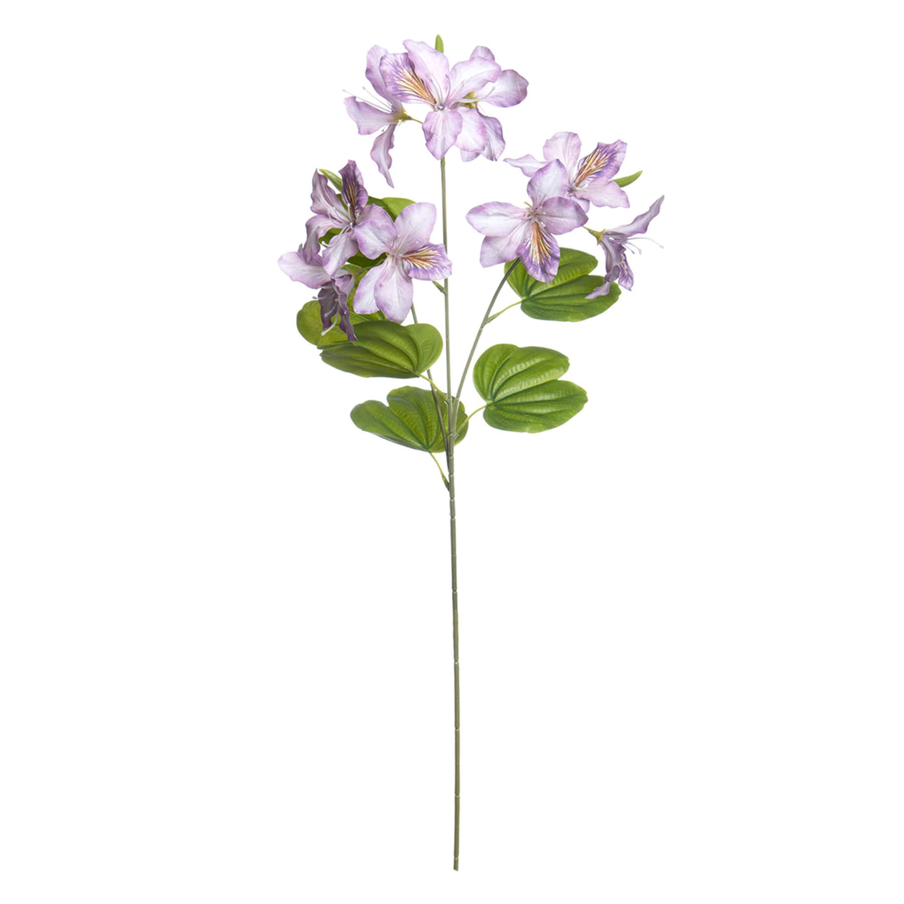 Purple Bauhinia Spray, 29"