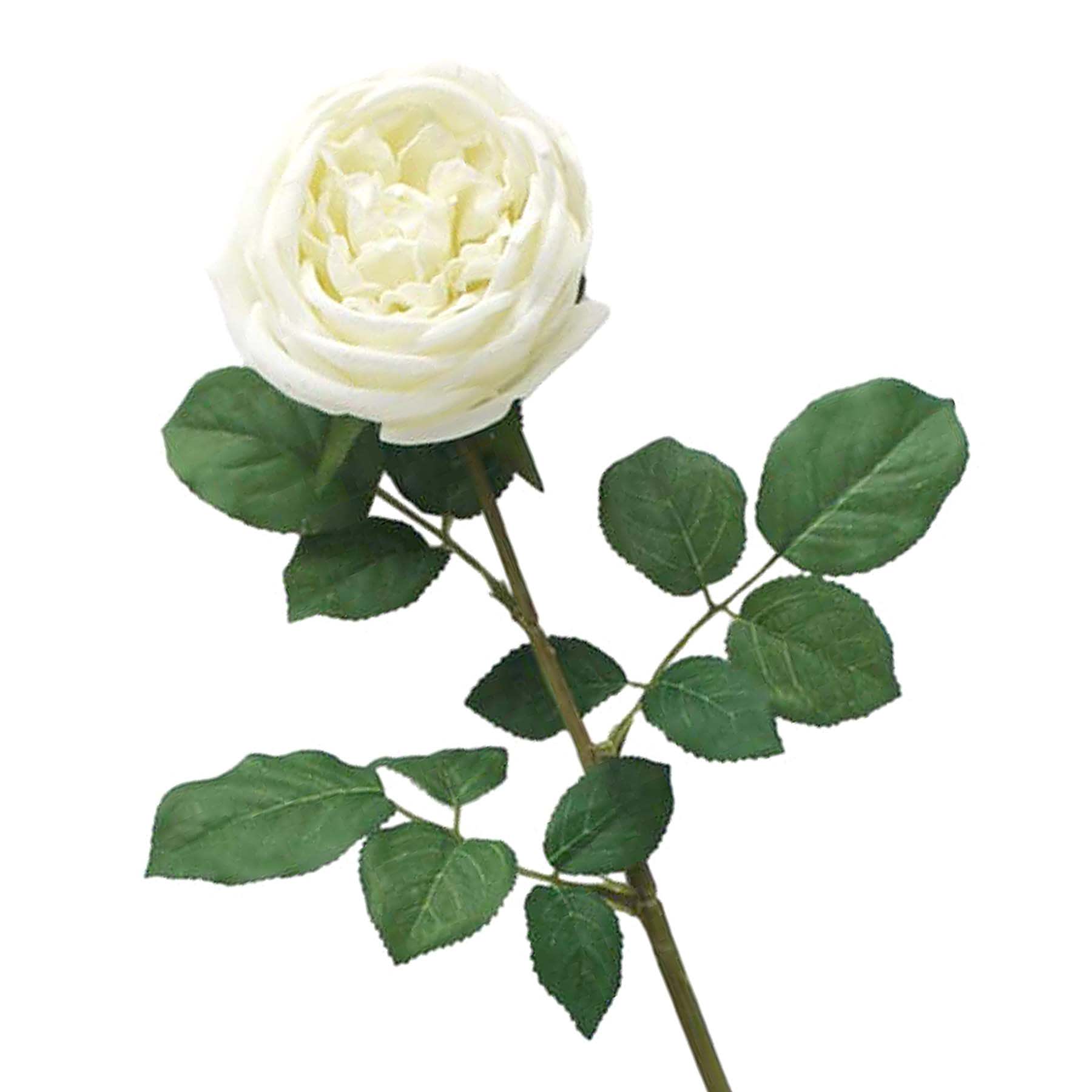 Willow Crossley Ivory Real Touch Rose Floral Stem, 25.6"