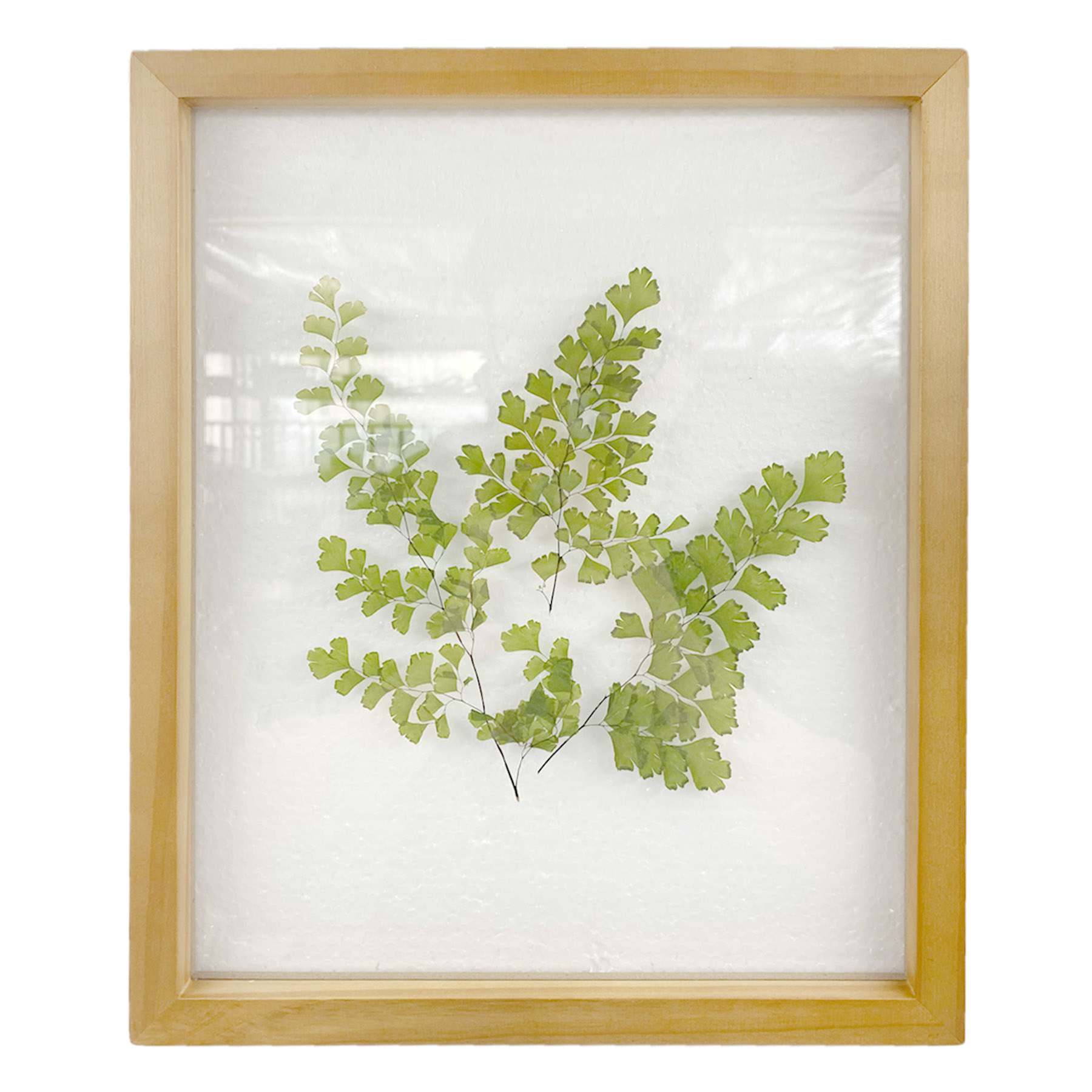 Honeybloom Glass Framed Botanical Wall Art, 10x12