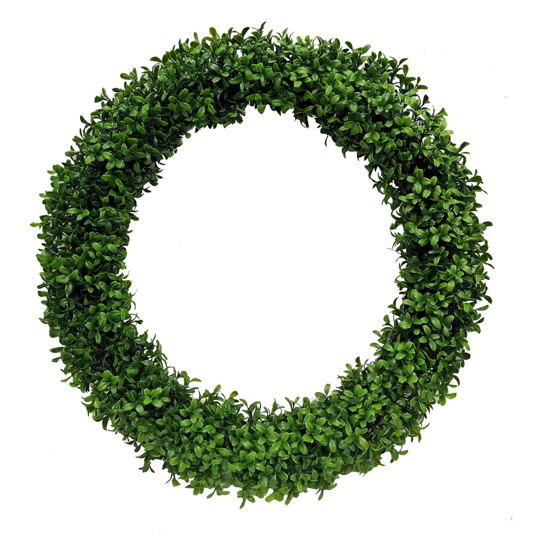 Boxwood Wreath, 24"
