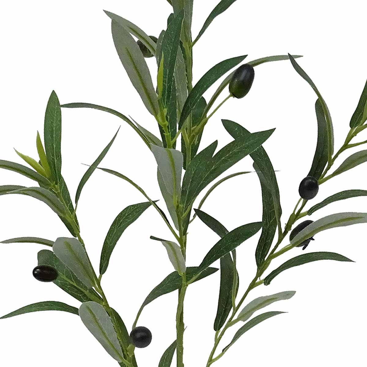 Olive Branch Stem, 30"