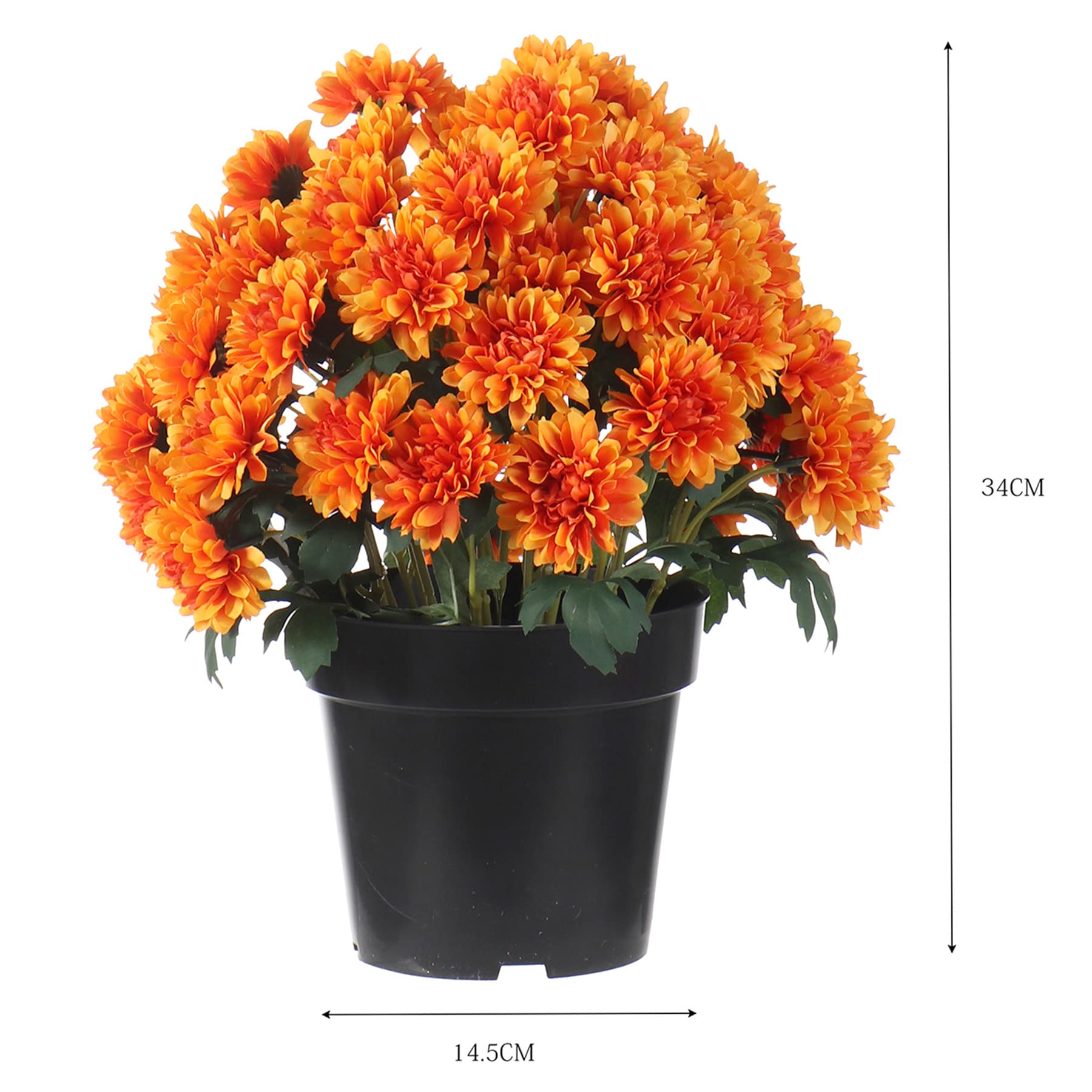 Orange Mum Flower in Black Plastic Pot, 13"