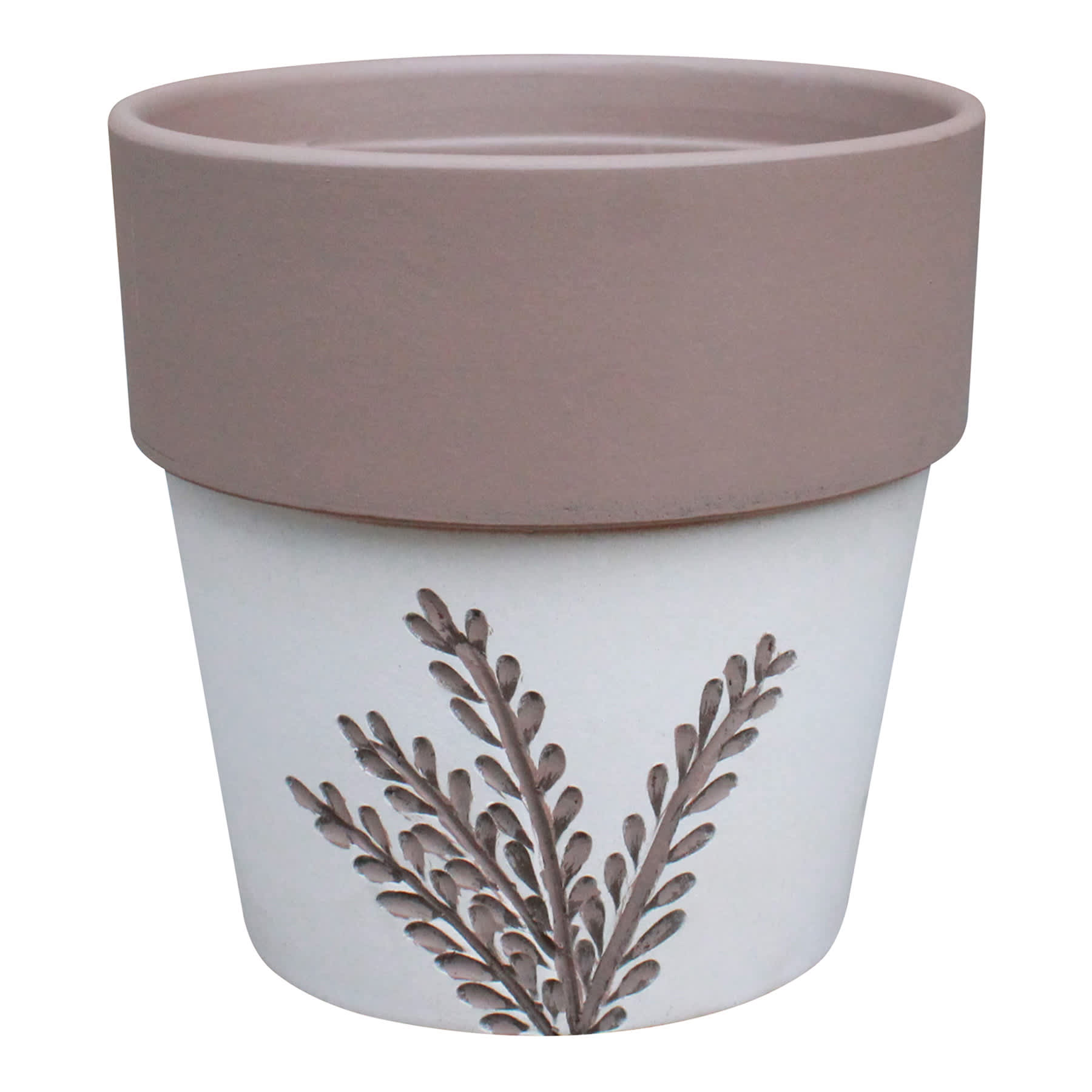 Indoor Vines Terra Planter, 5"