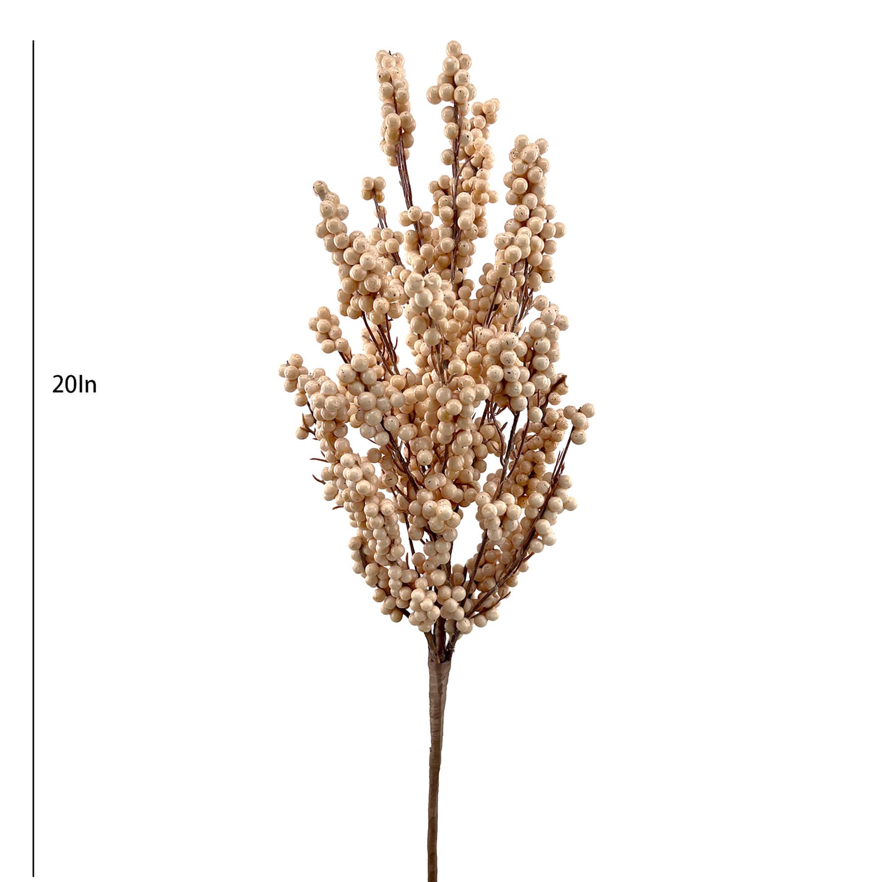 Cream Berries Bush, 20"
