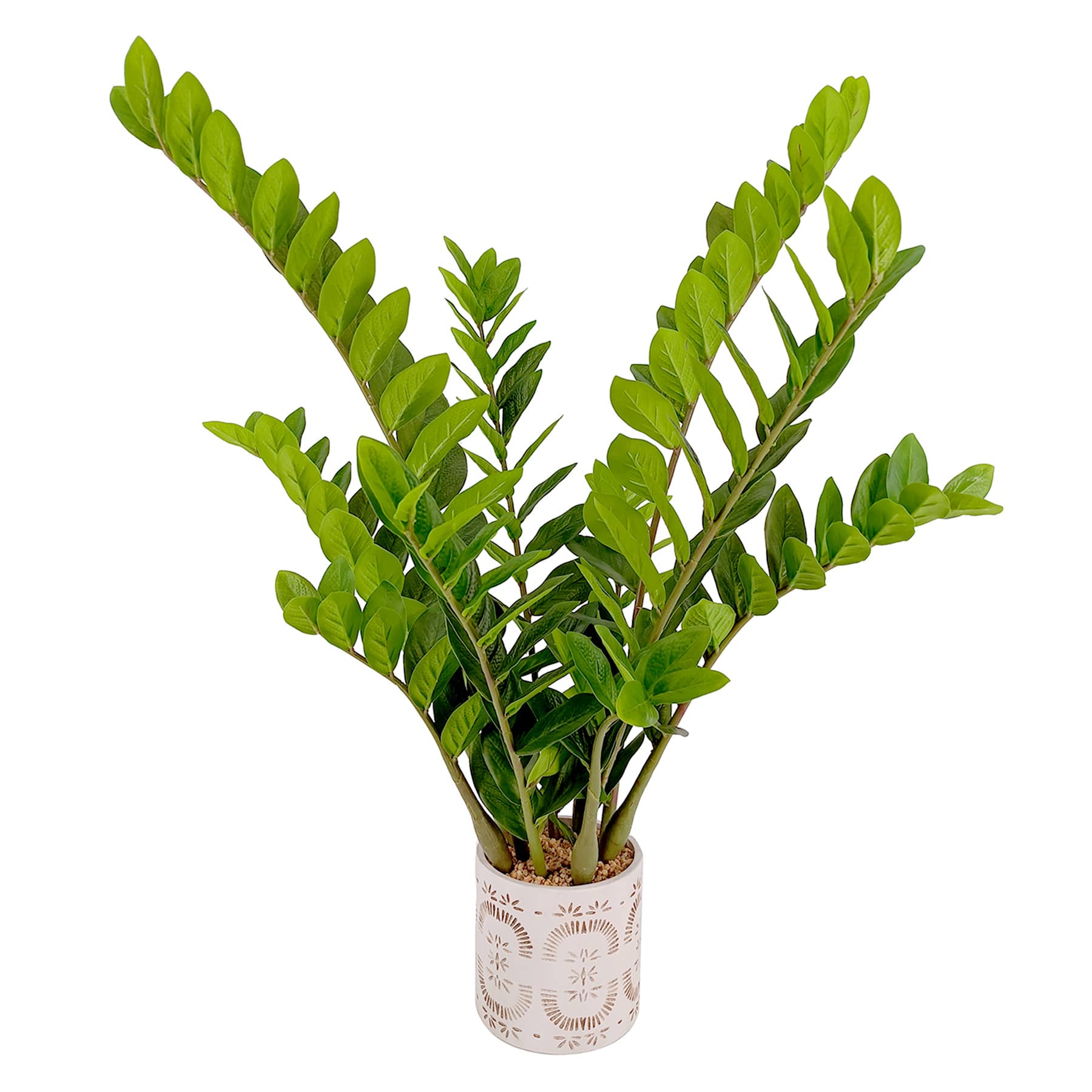 Greenery with Cermic Pot, 34"