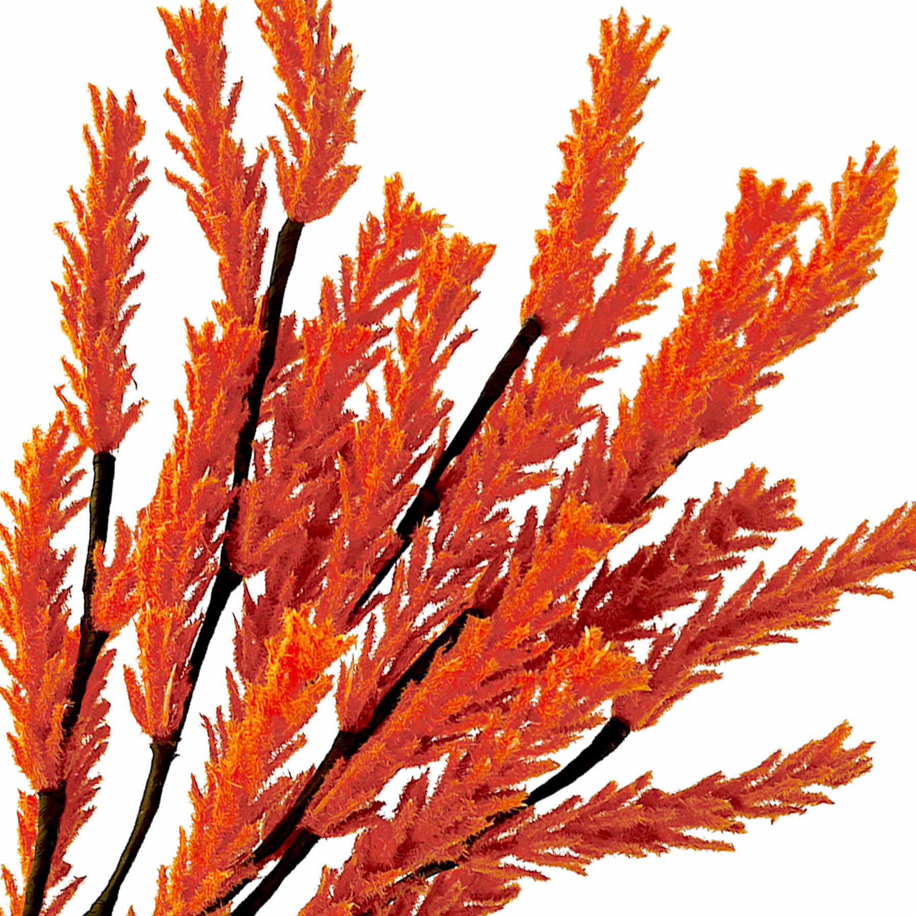 Orange Heather Pick, 14"