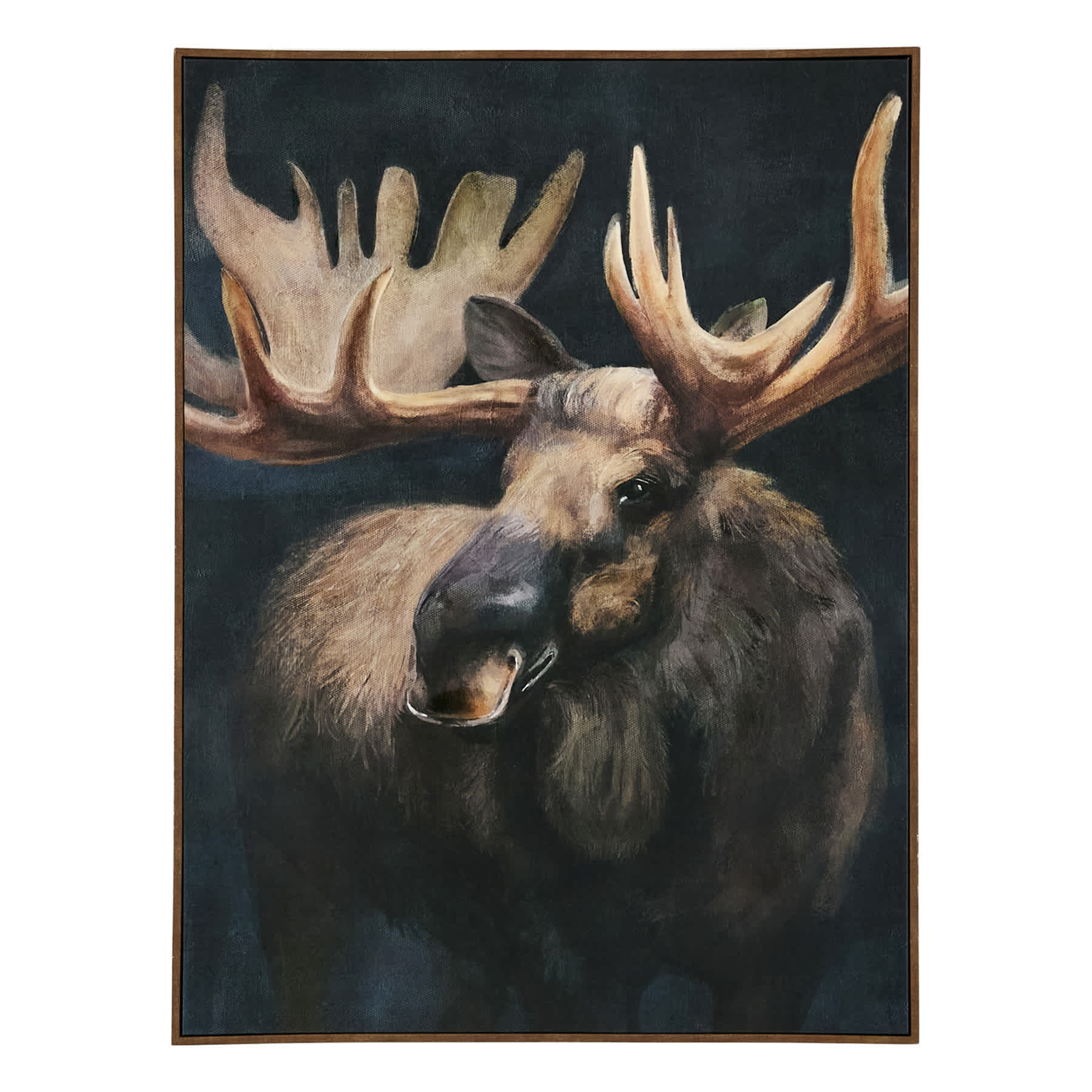 Framed Moose Canvas, 30x40