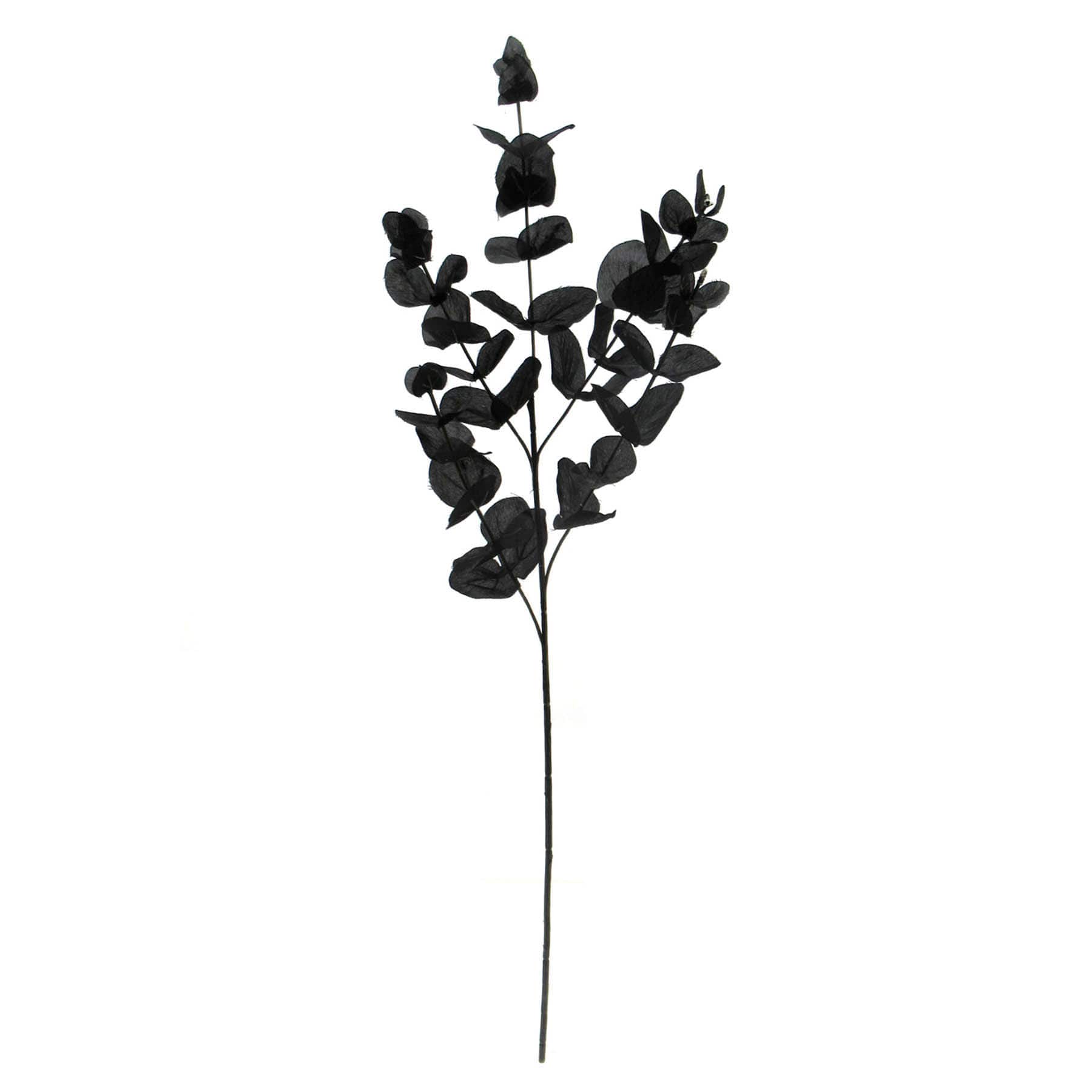 Spellbound Black Eucalyptus Spray, 31"