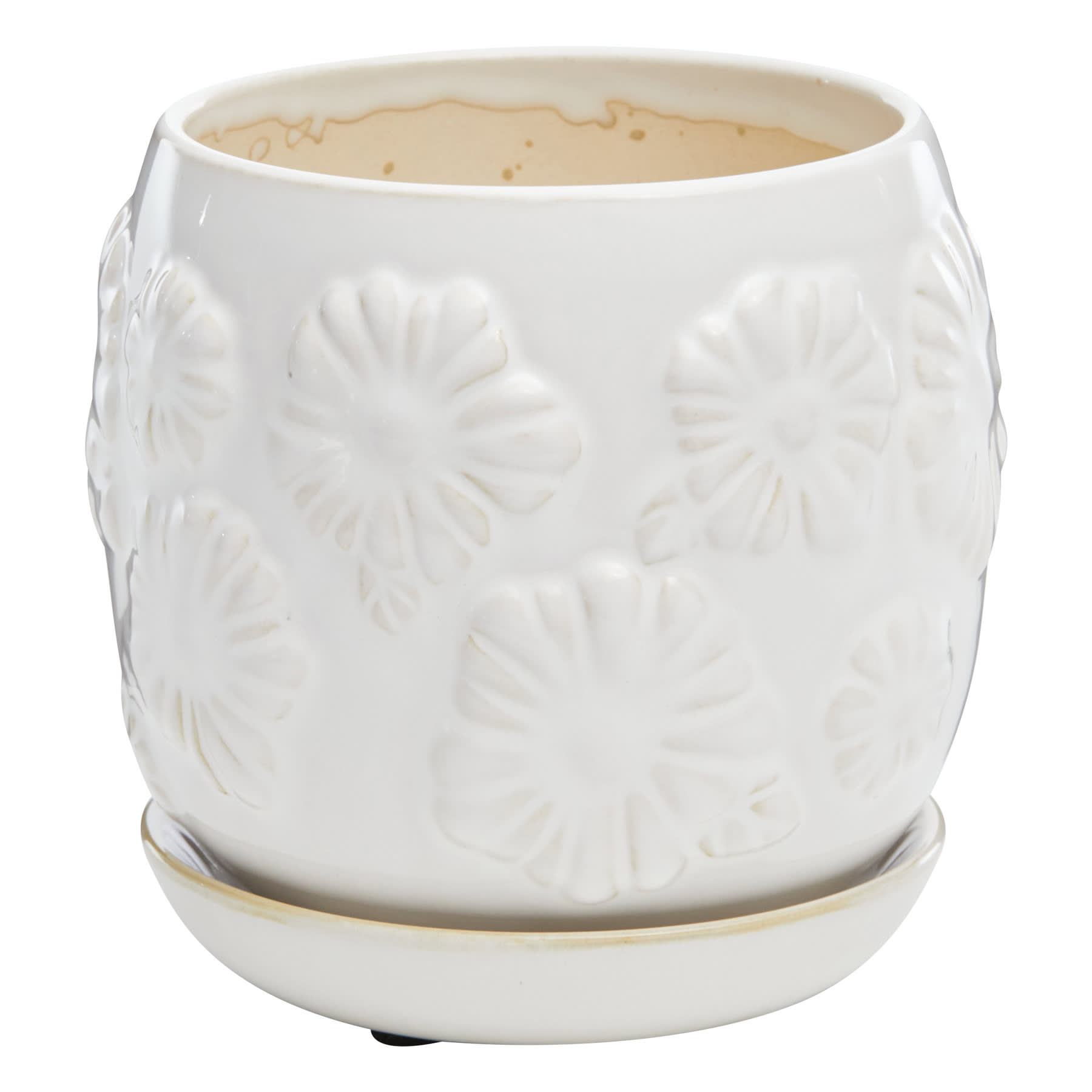 Indoor White Daisy Pot, Small