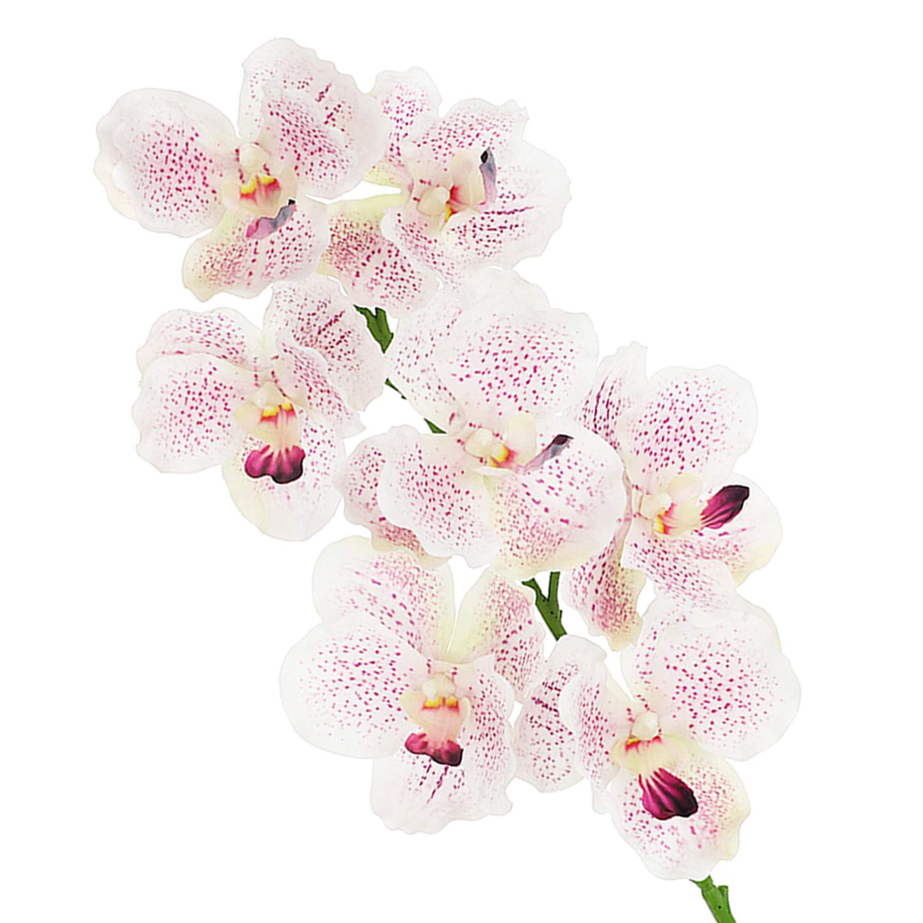 Light Pink Moth Orchid Floral Stem, 31"