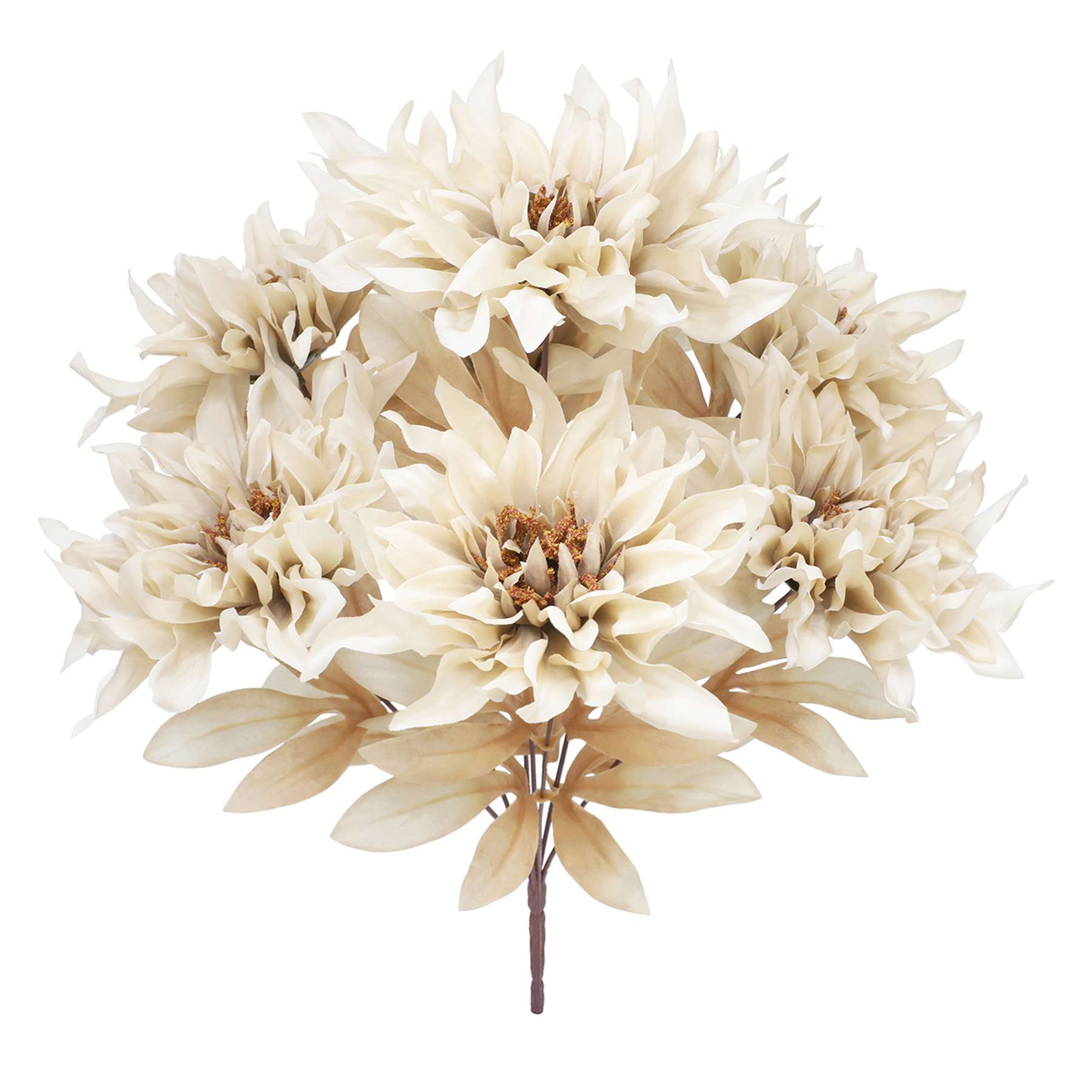 Dahlia Bush, 18"