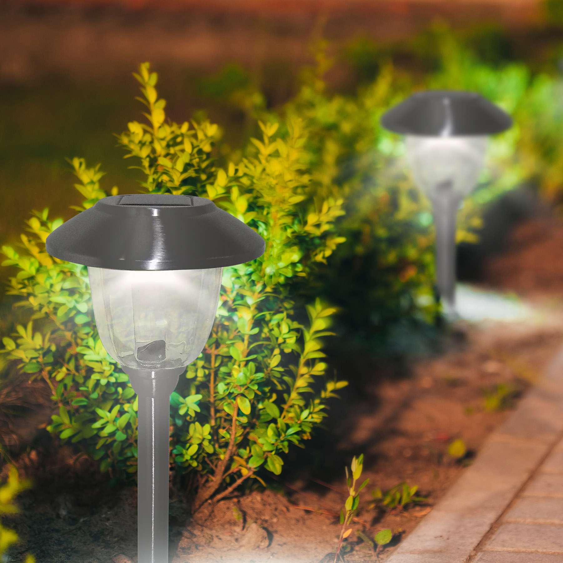 6-Lumen Solar Silver Abby Pathway Light