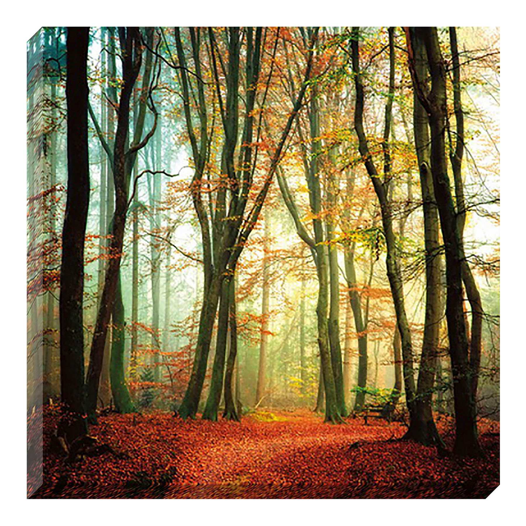 Fall Woods Textured Canvas Wall Art, 35"