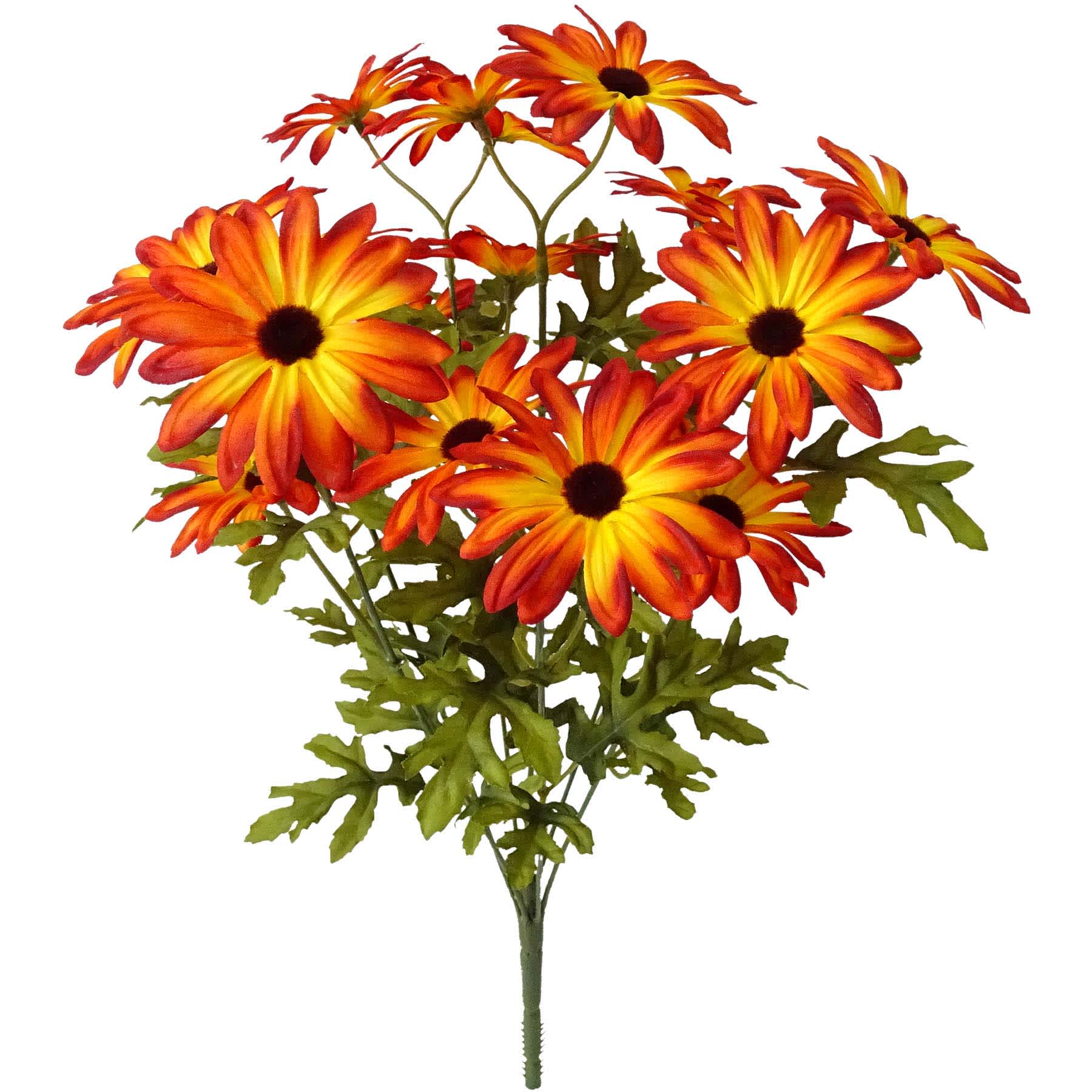 Orange 20-Head Daisy Bush, 18"