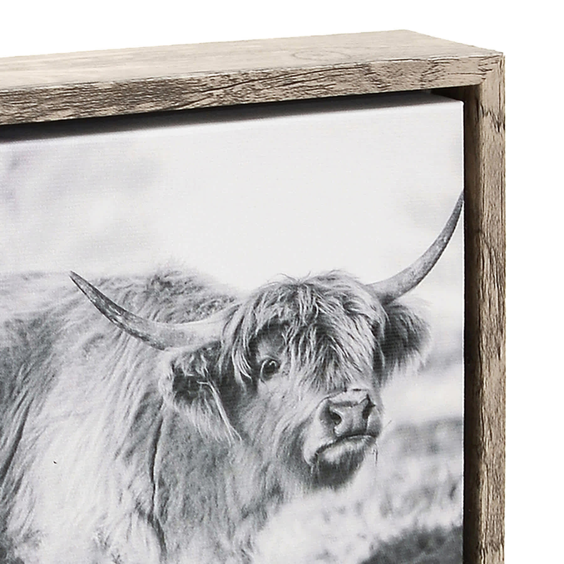 Ty Pennington Cow Print Framed Canvas, 5x7