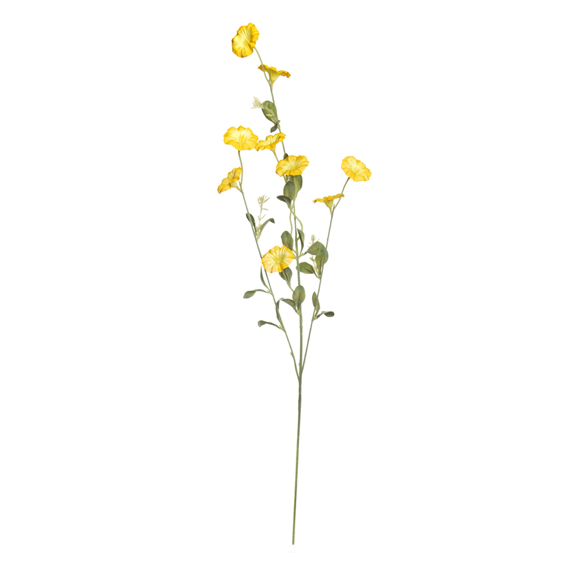 Yellow Morning Glory Spray, 34"