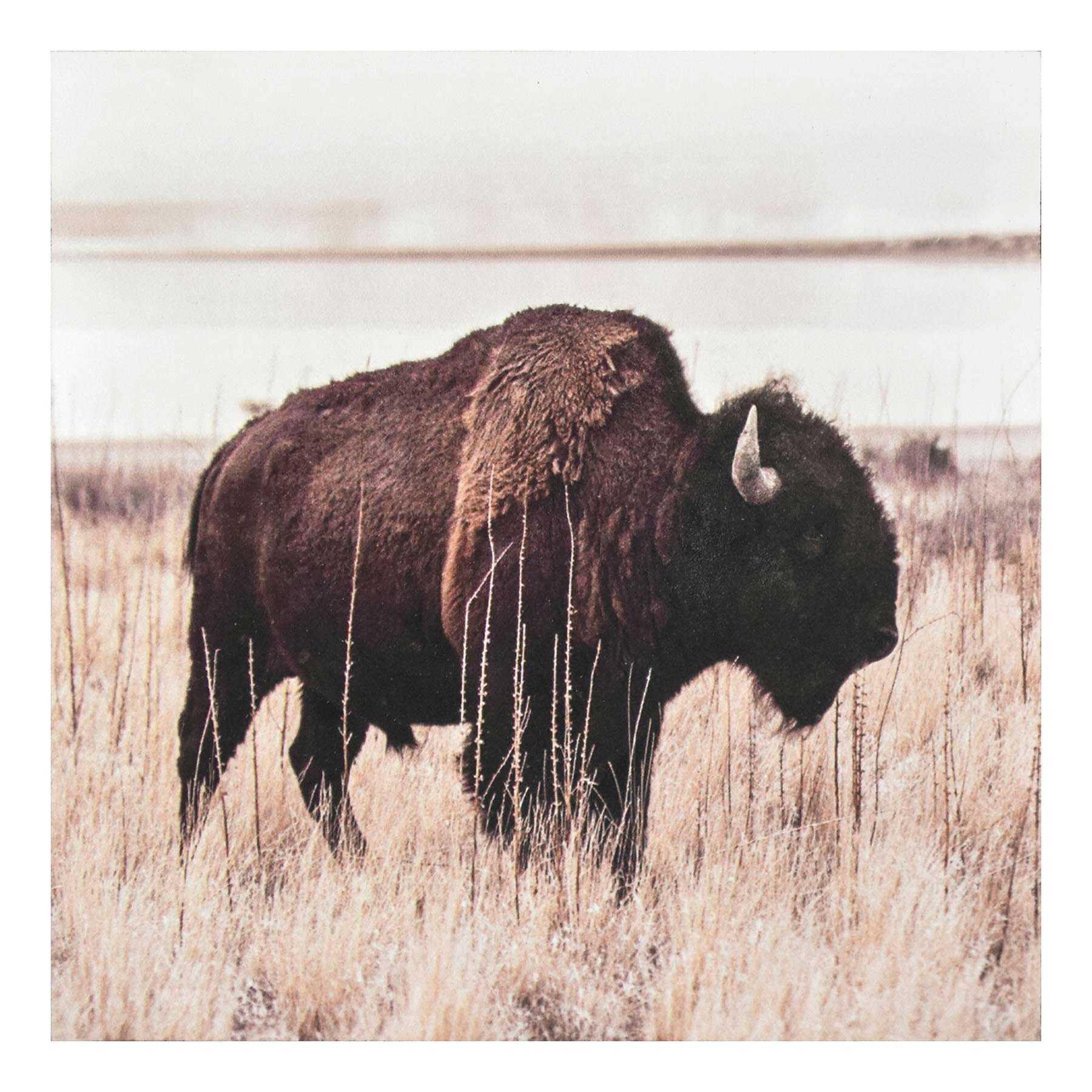 Bison Block, 8"