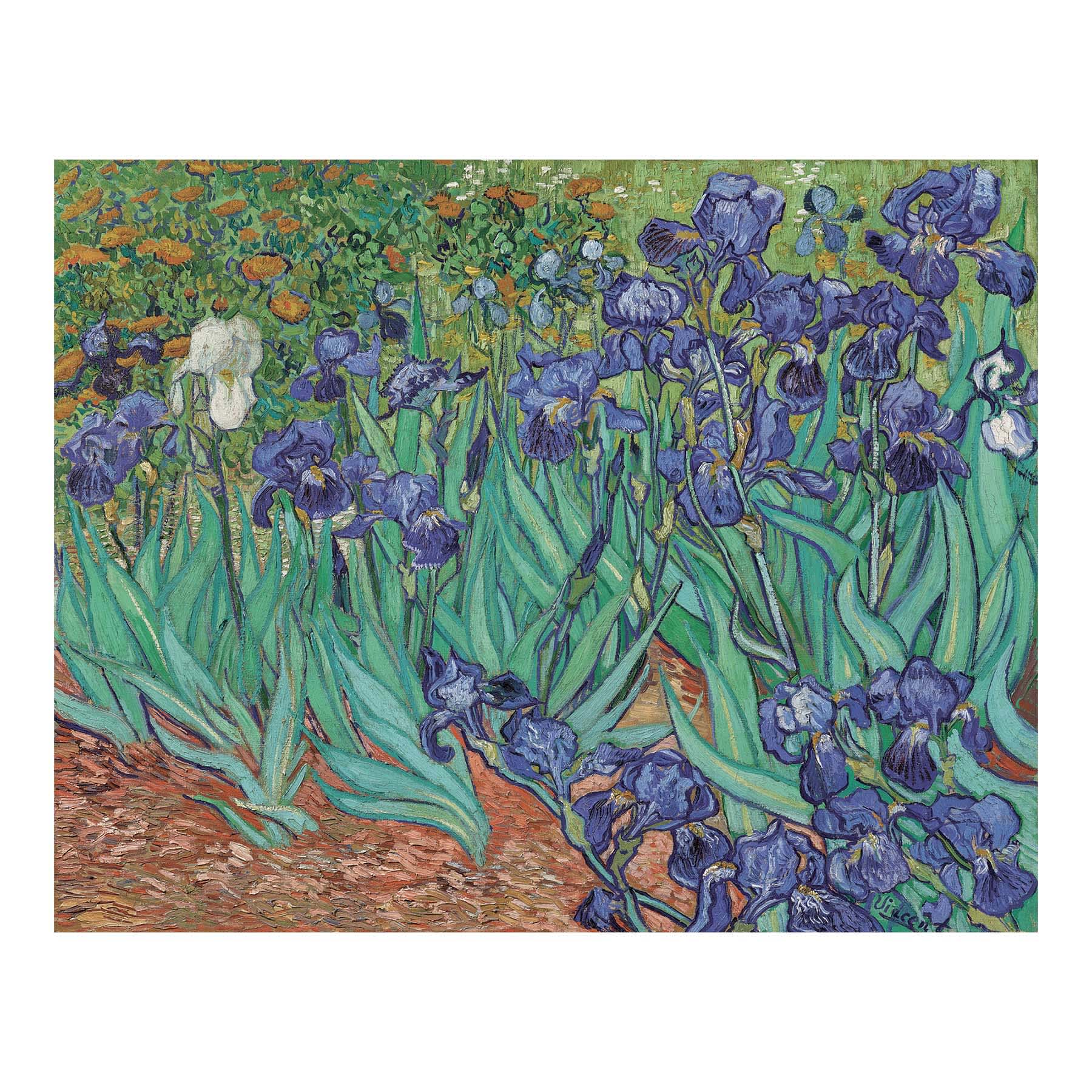 Irises Canvas Wall Art, 11x14