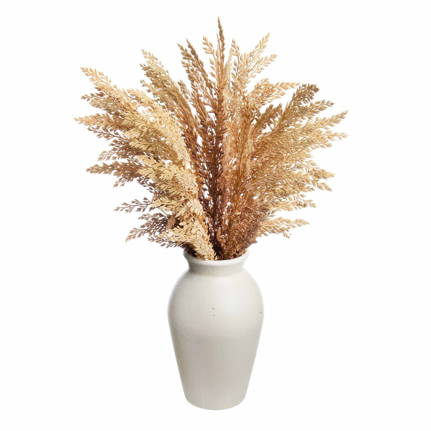 Honeybloom Brown Pampas Grass in Pot, 19"