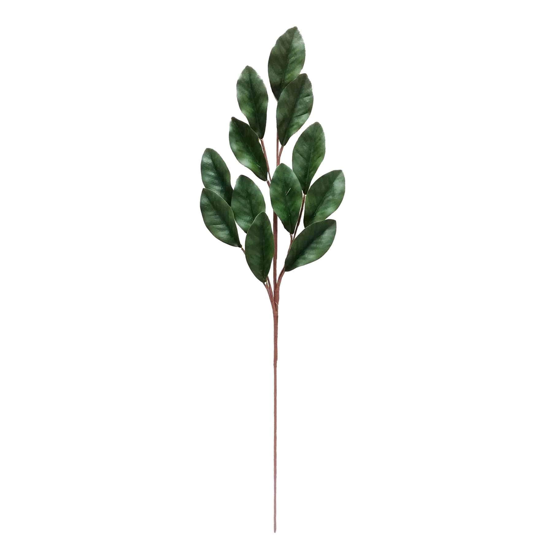 Green Magnolia Leaves Stem, 34"