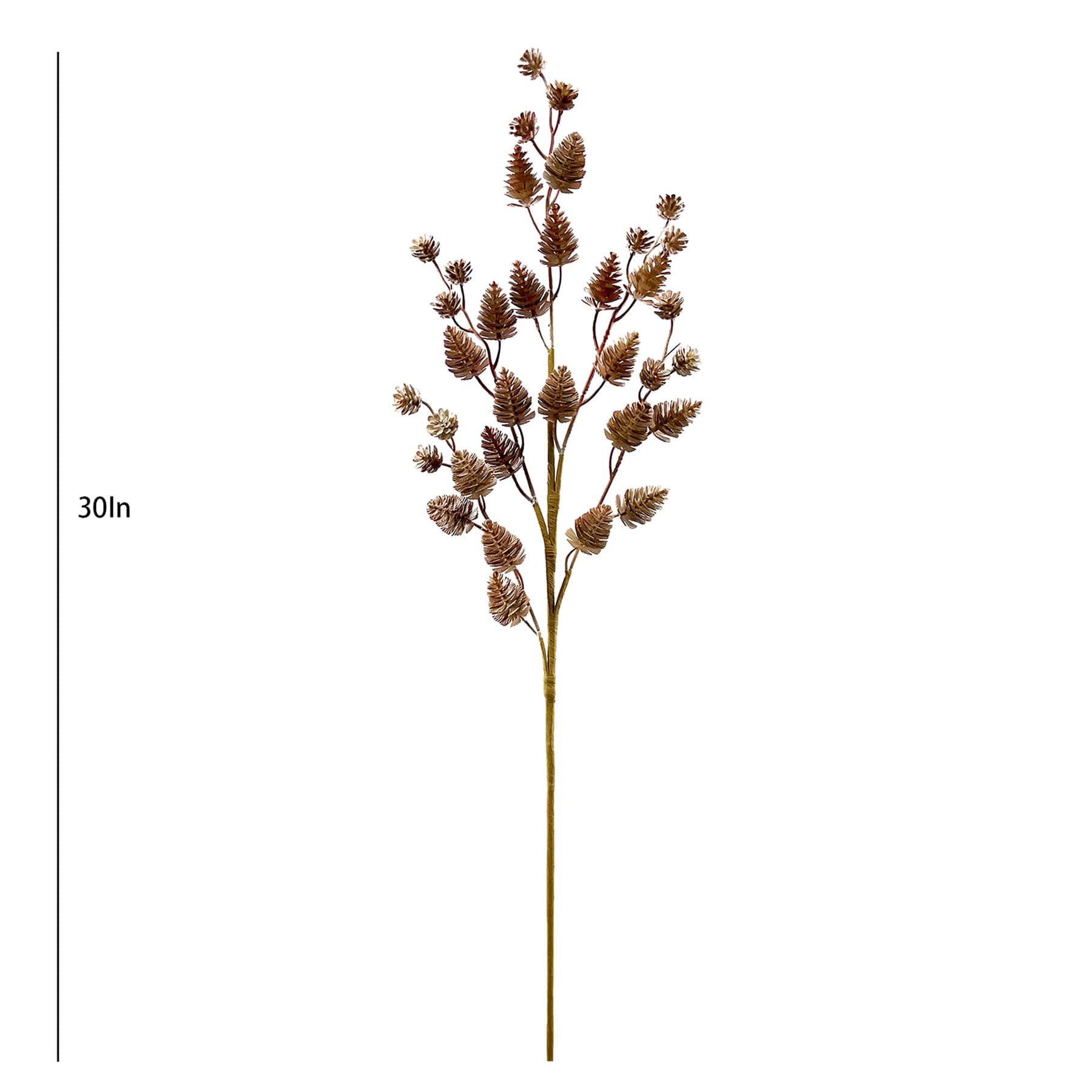 Light Brown Pinecone Stem, 30"