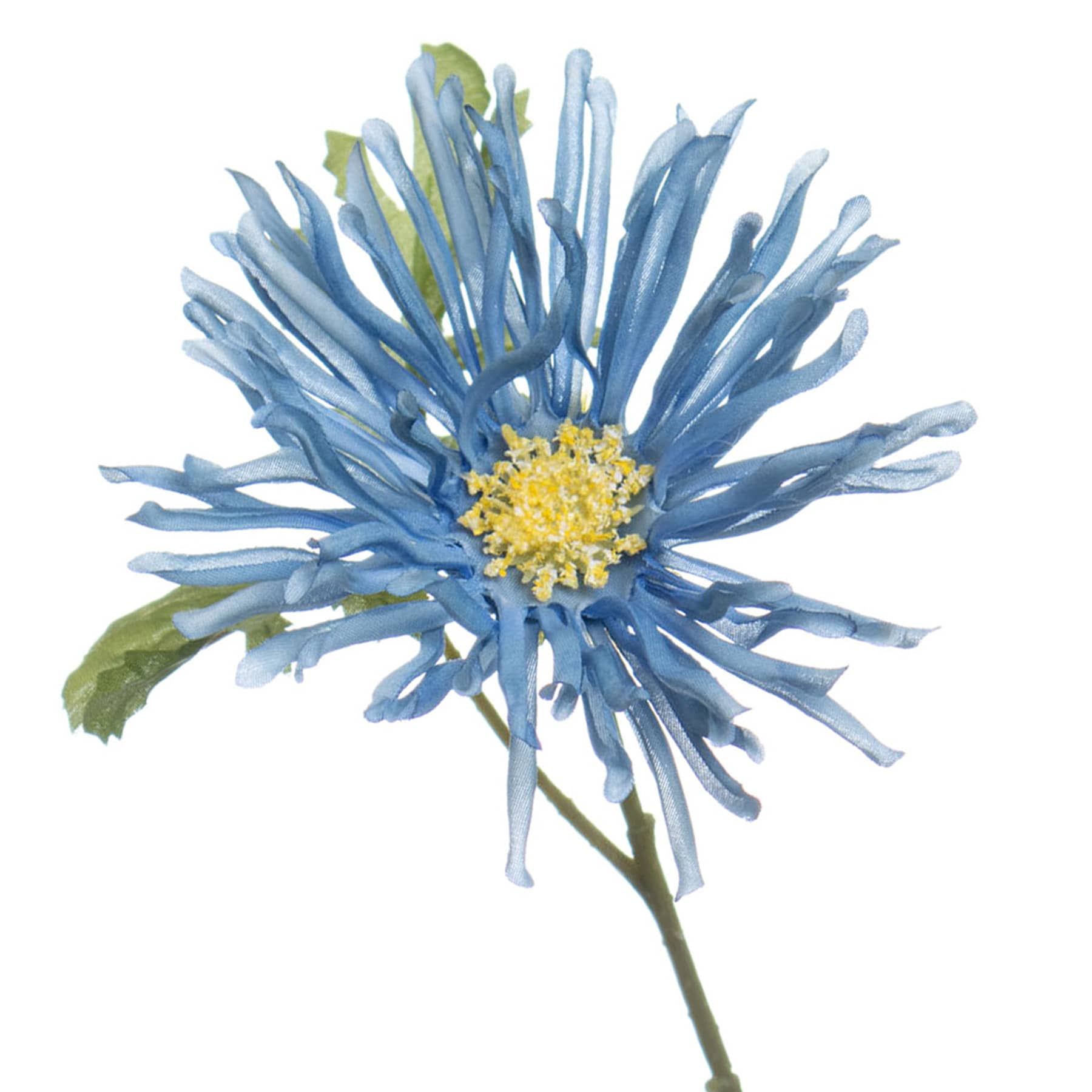 Blue African Daisy Pick, 11"
