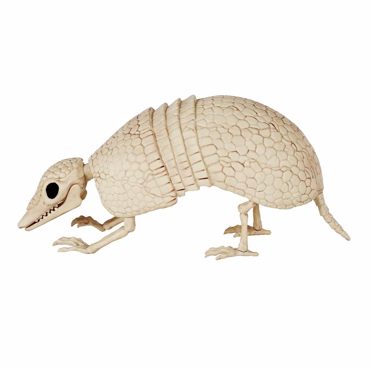Halloween Armadillo Skeleton, 12.5x6