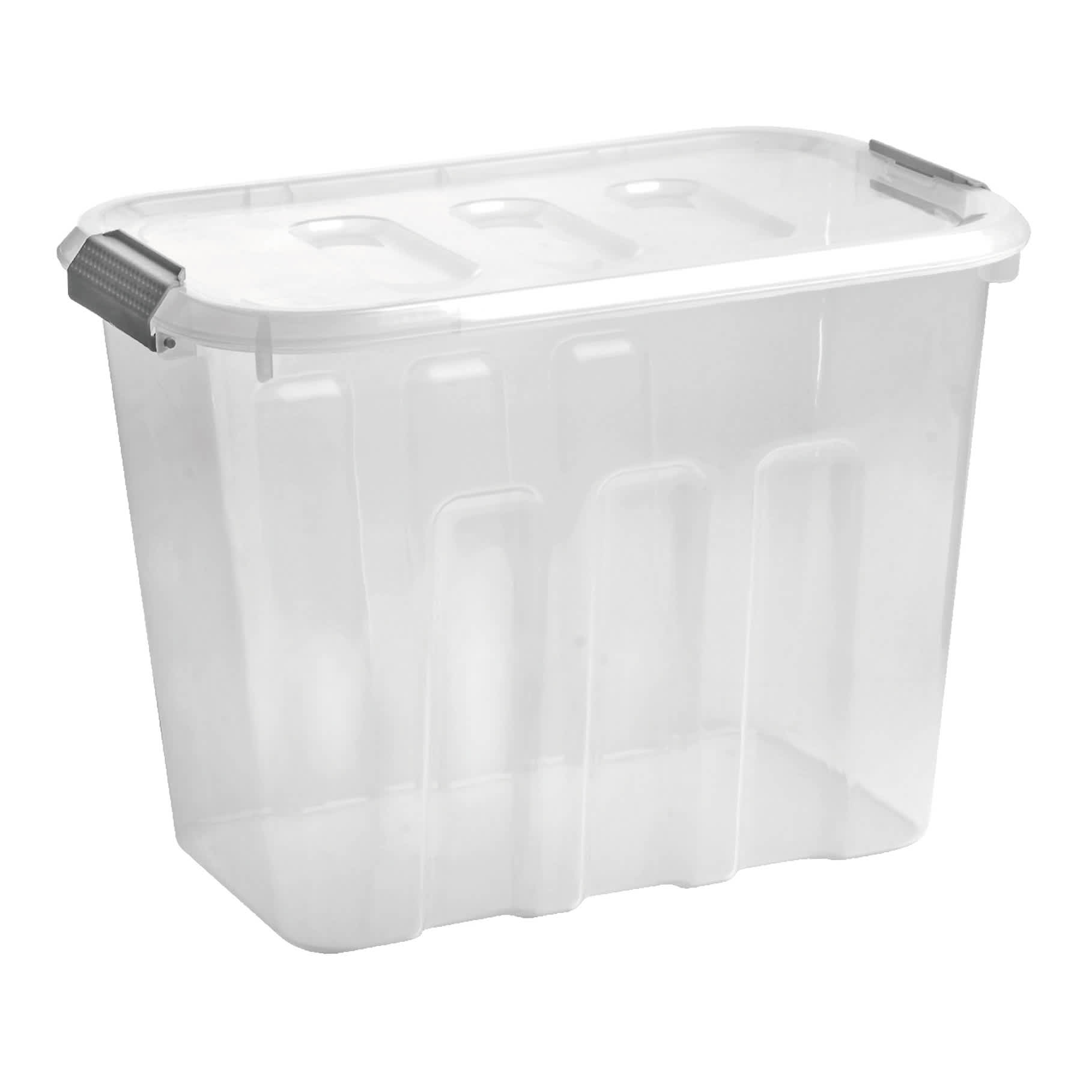 Clear Storage Container with Dual Hinging Lid, Medium