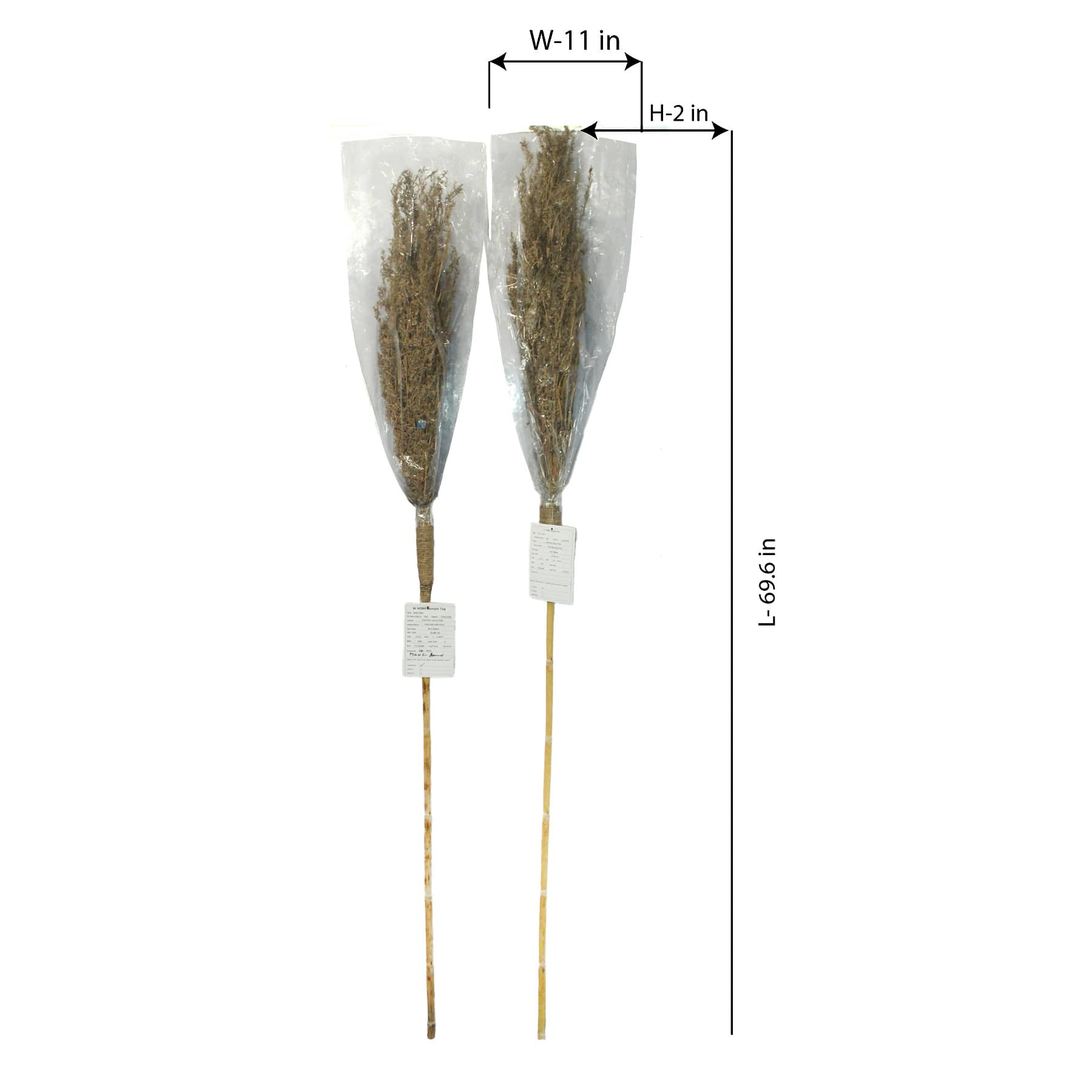 Natural Pampas Grass Stem, 70"