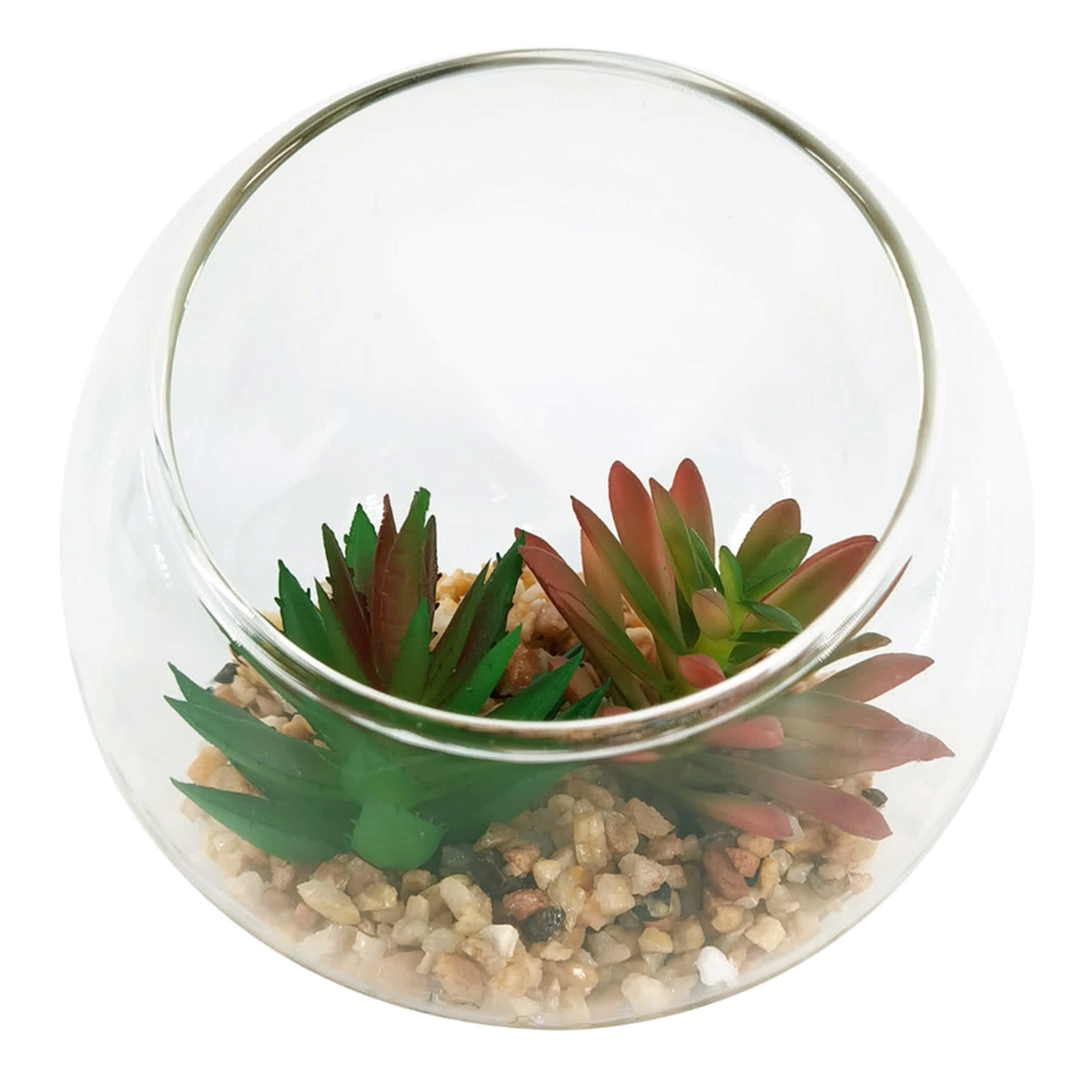 Red & Green Succulents in Glass Bowl, 4.8"