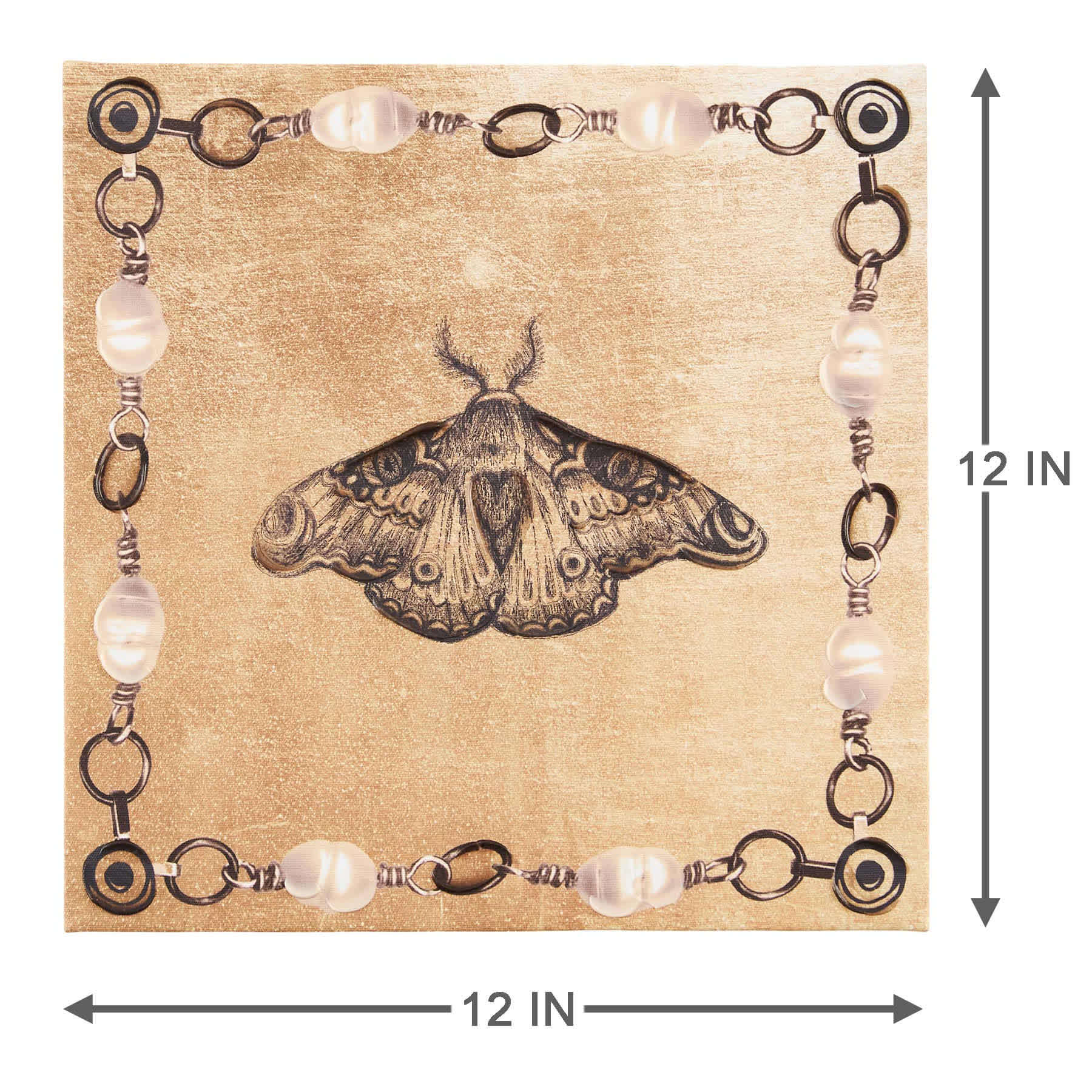 SCADpro Moth I Canvas Wall Art, 12"