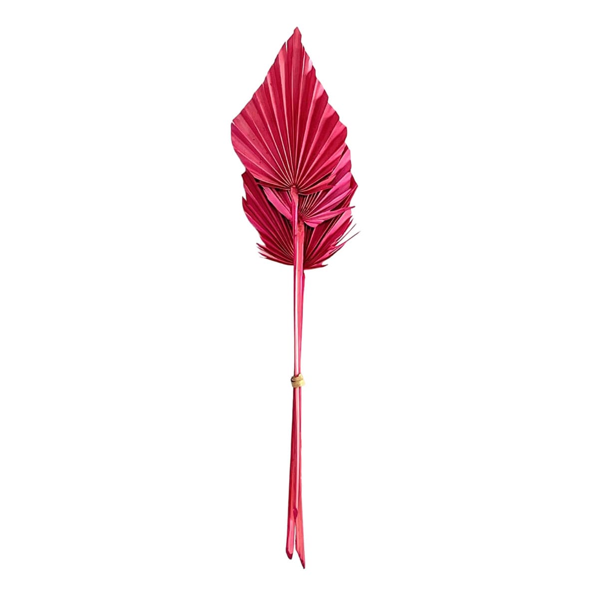 Pink & Mauve Palm Spear, 19"