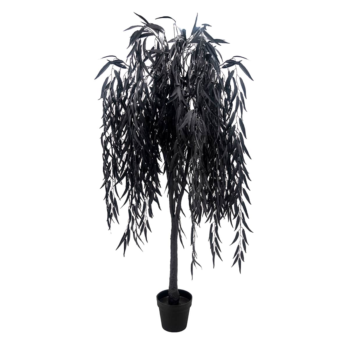 Grim Gardens Black Willow Tree in Pot, 60"