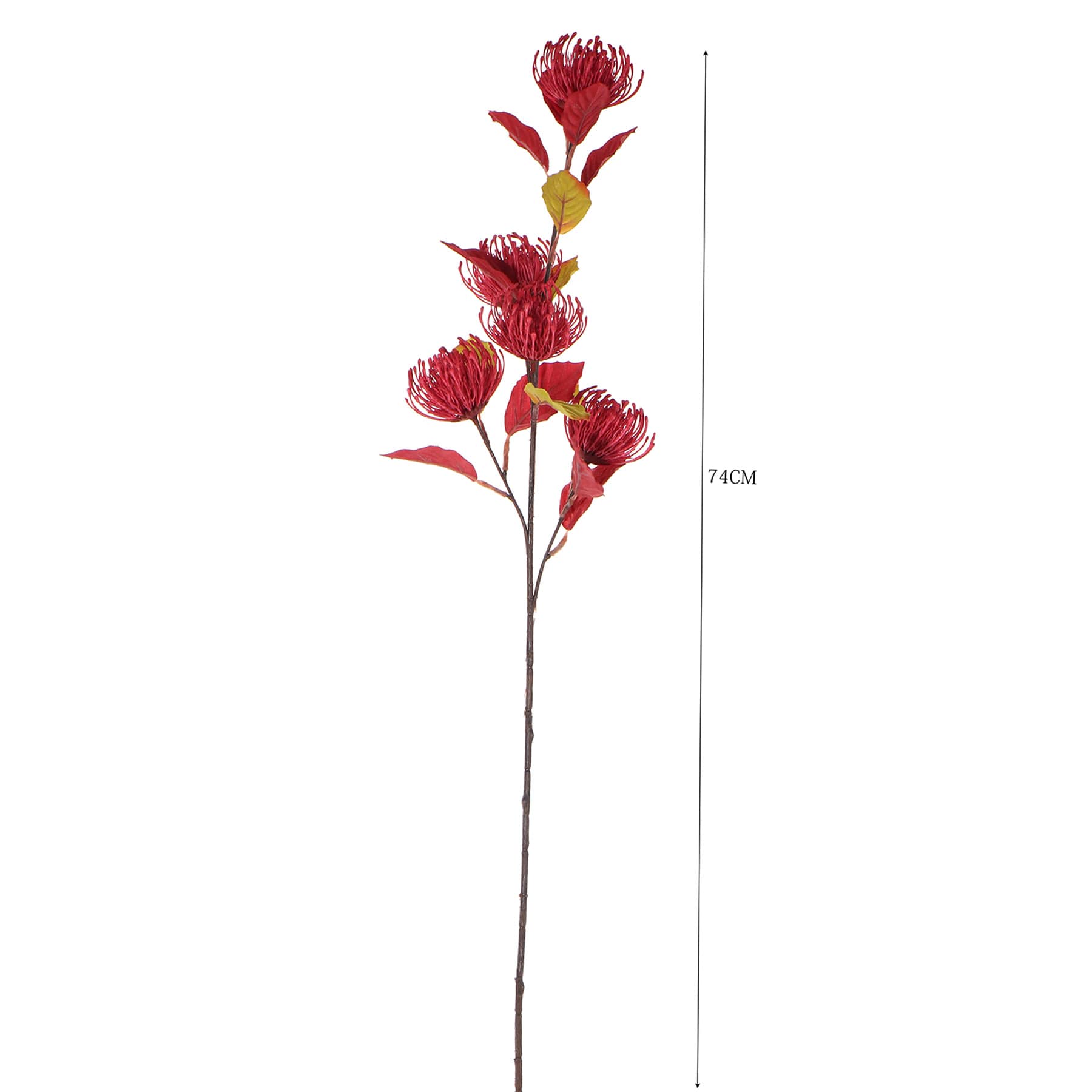 Red Thistle Stem, 32"