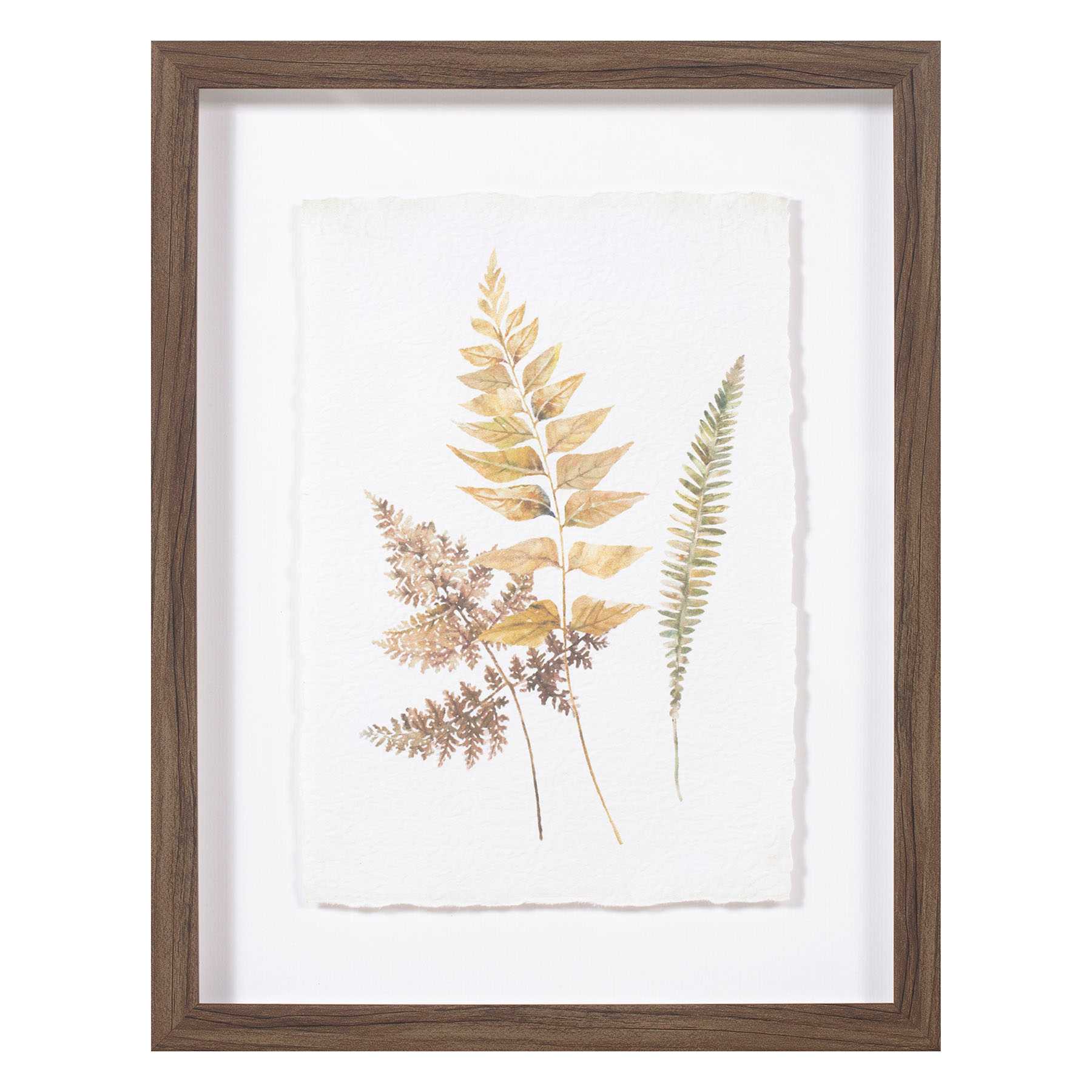 Honeybloom Glass Framed Leaf Print Wall Art, 11x14