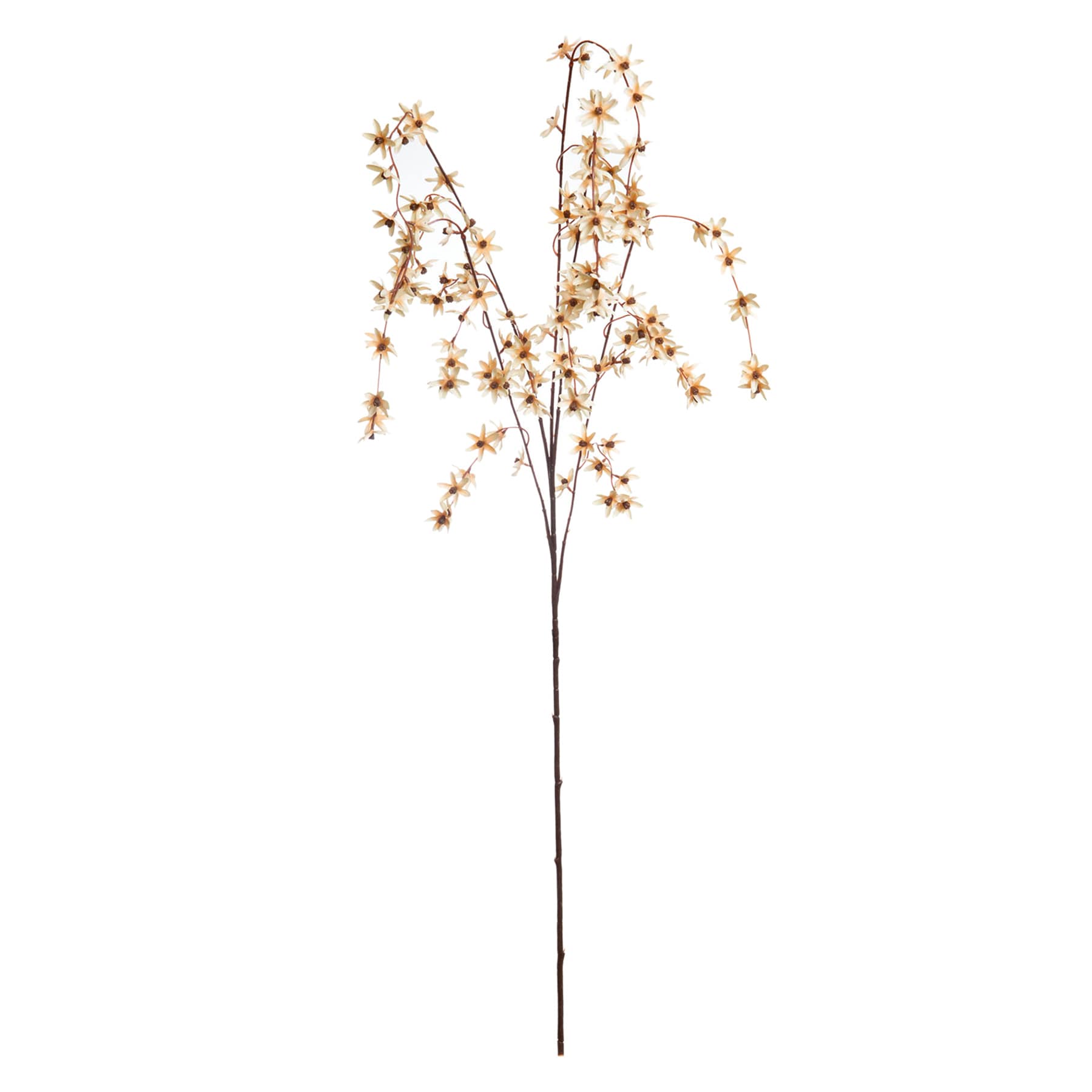 Ivory Star Flower Branch, 47"