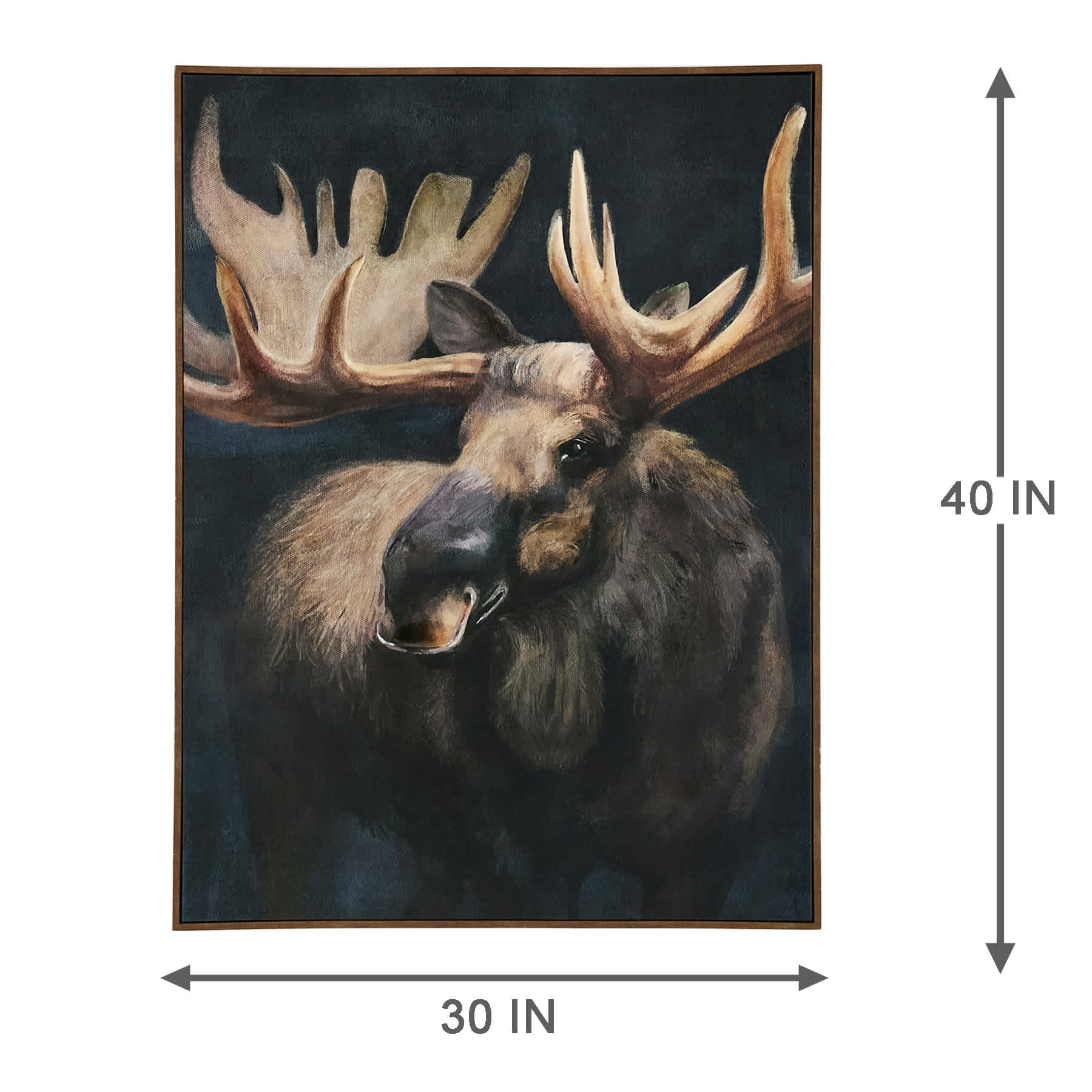 Framed Moose Canvas, 30x40