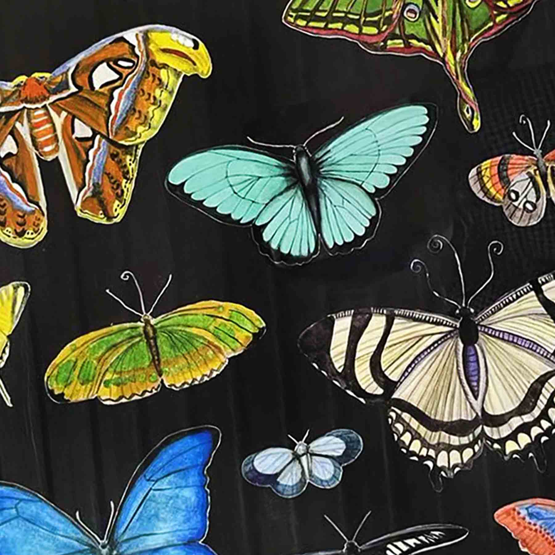 Glass Framed Butterfly Print Wall Art, 19x31