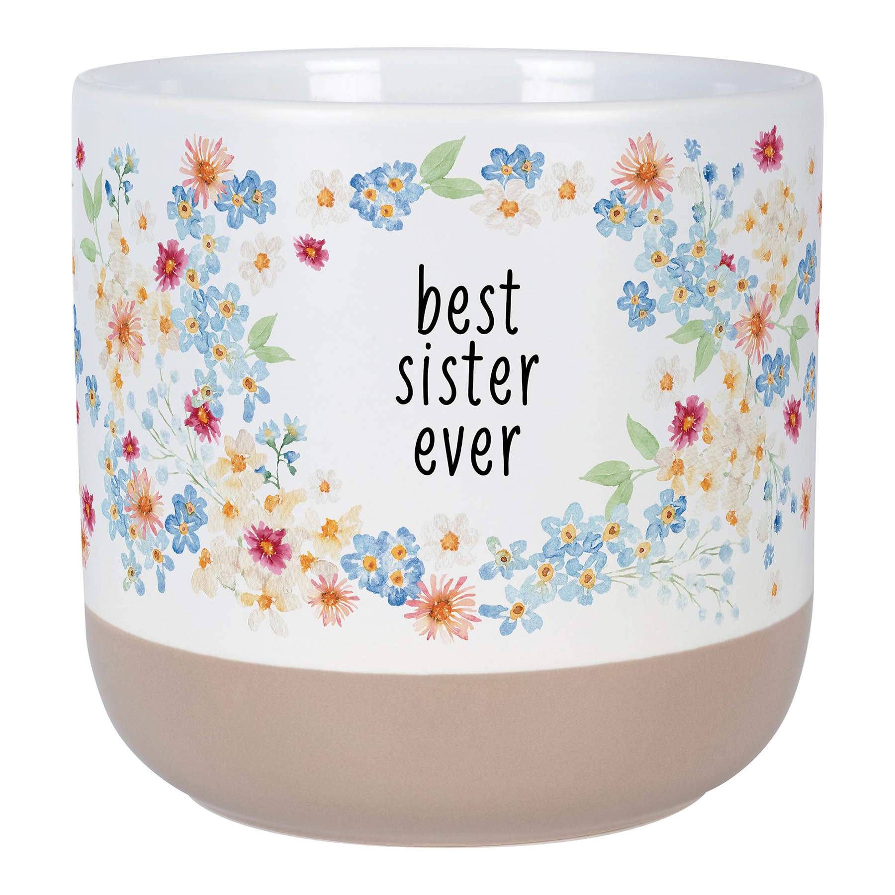 Indoor Best Sister Ever Sentiment Planter, 5.5"
