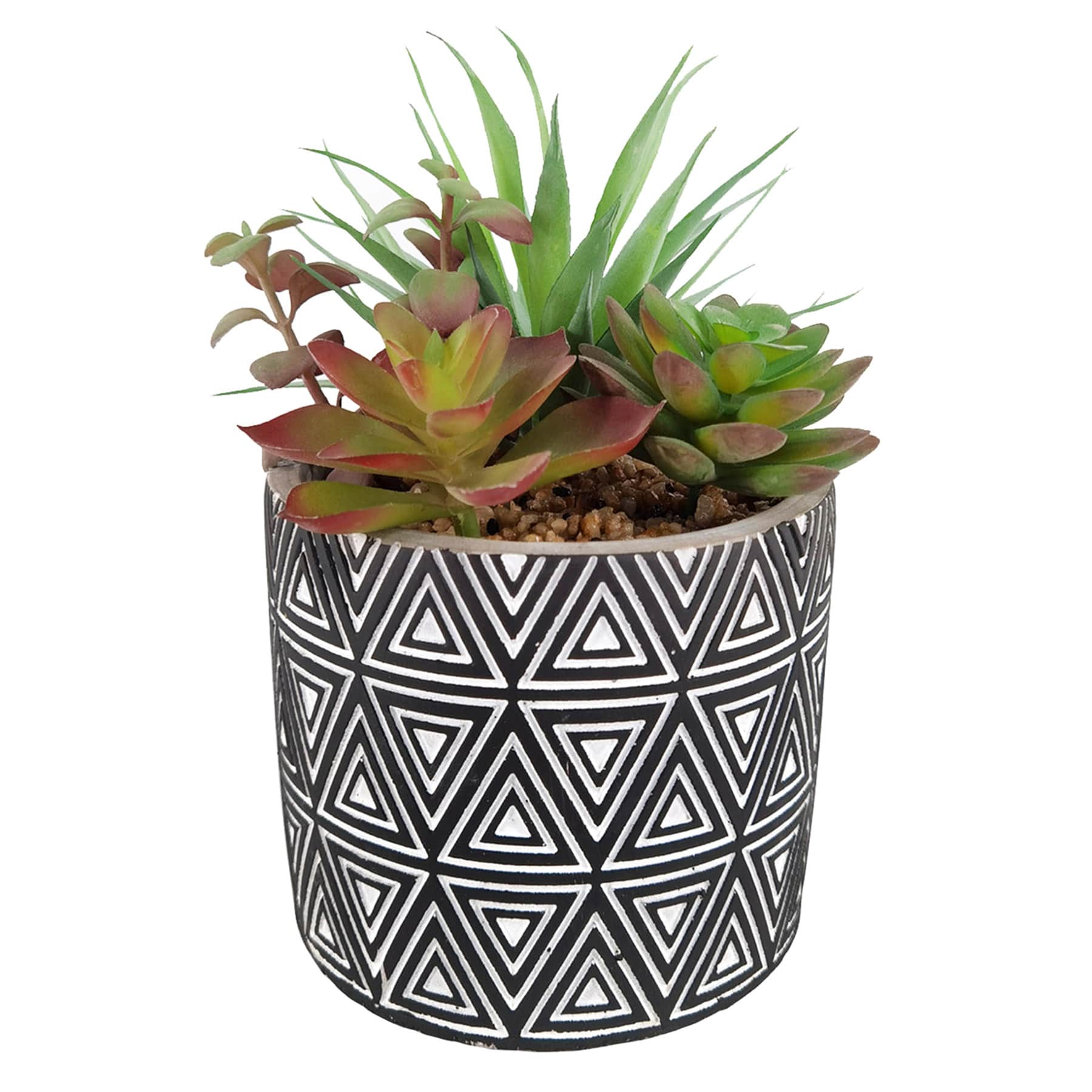 Succulent Arrangement in Blue Cement Pot, 7.5"