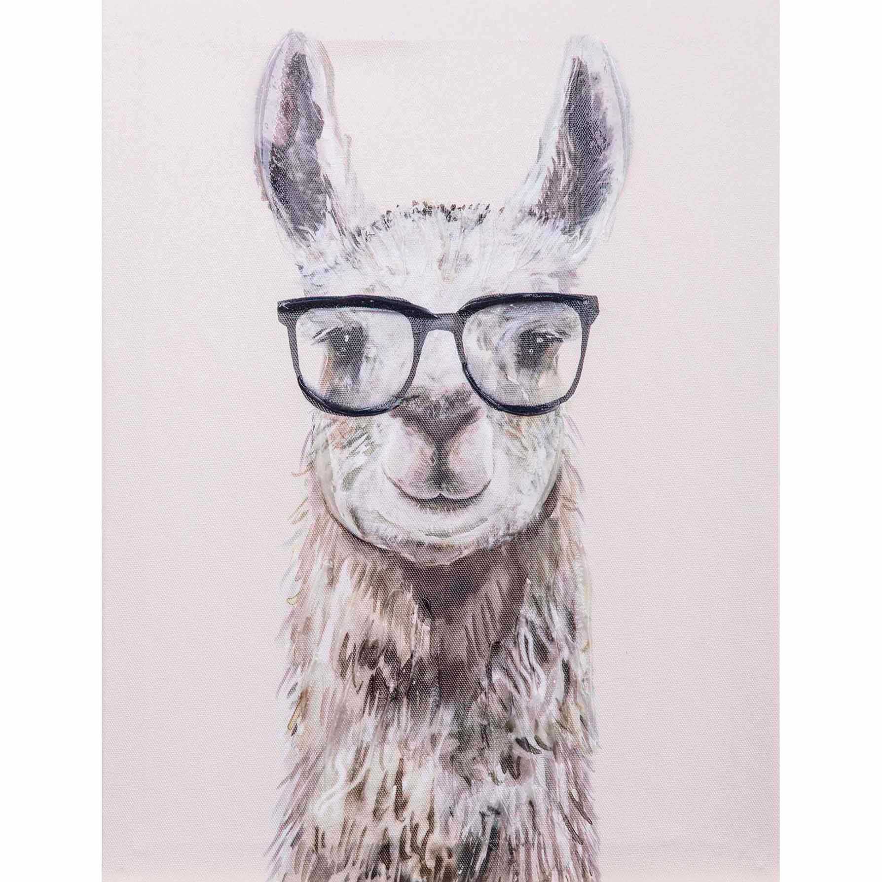 Llama Glasses Canvas Wall Art, 12x16
