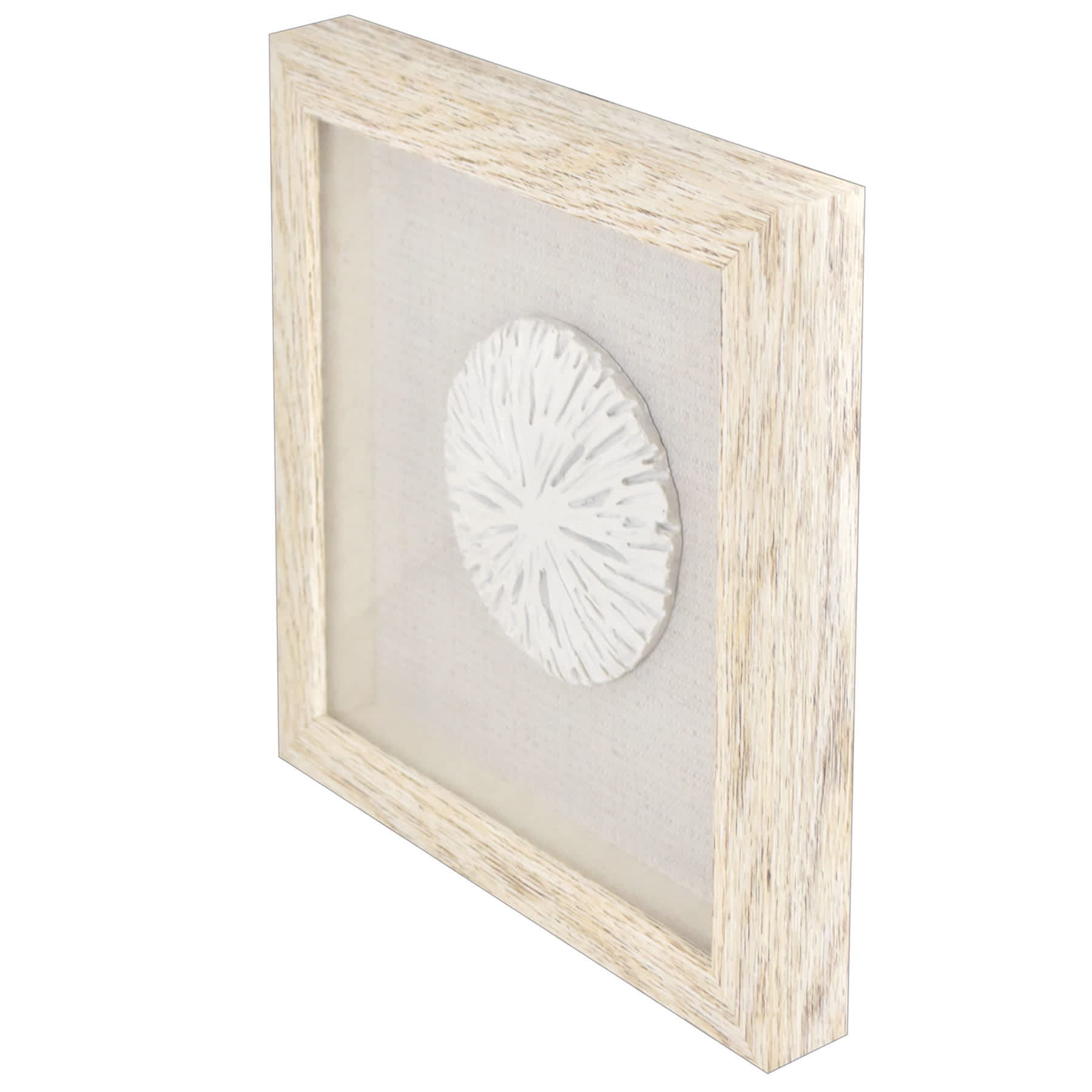 Ty Pennington Glass Framed Coral Wall Art, 9"