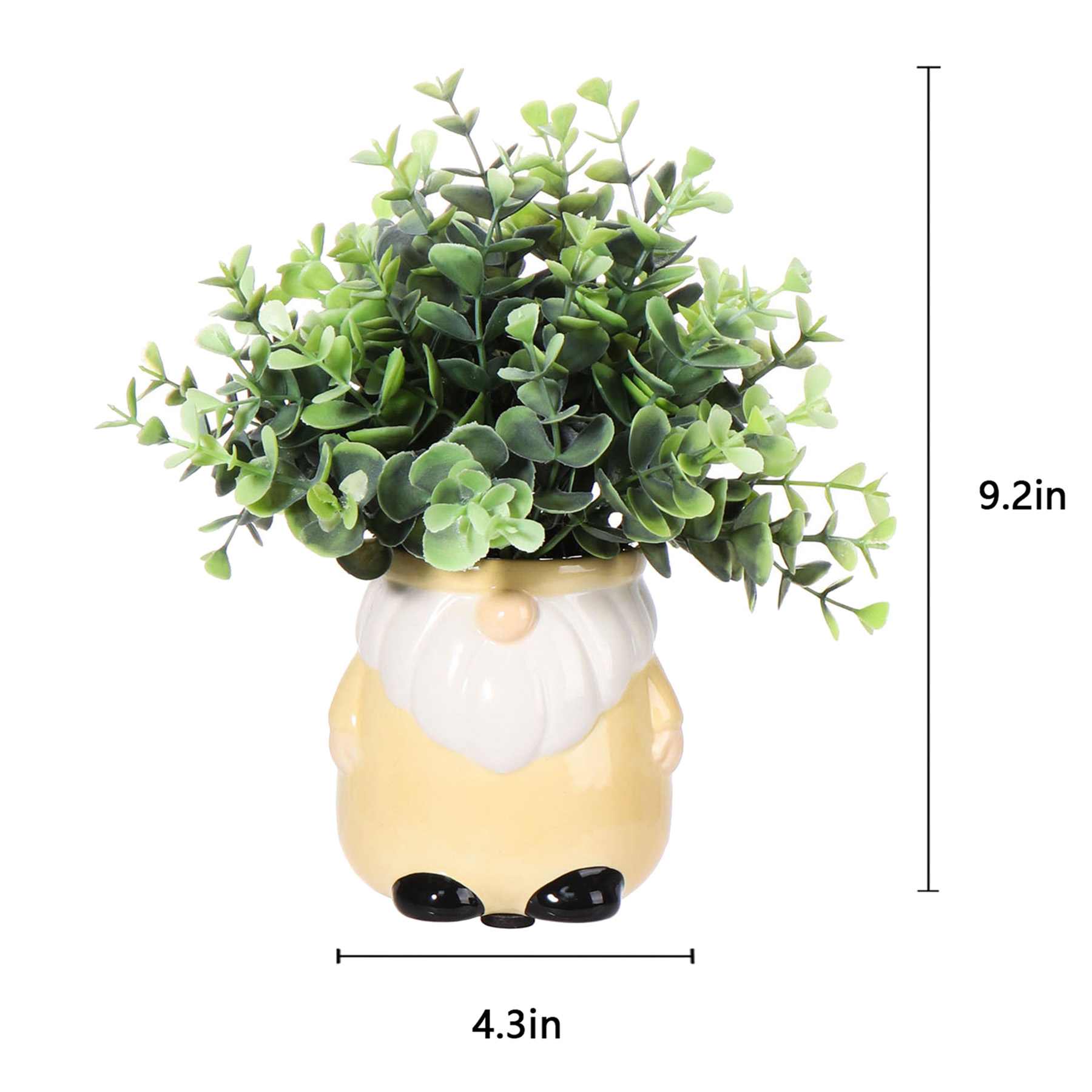 Eucalyptus in Yellow Gnome Pot