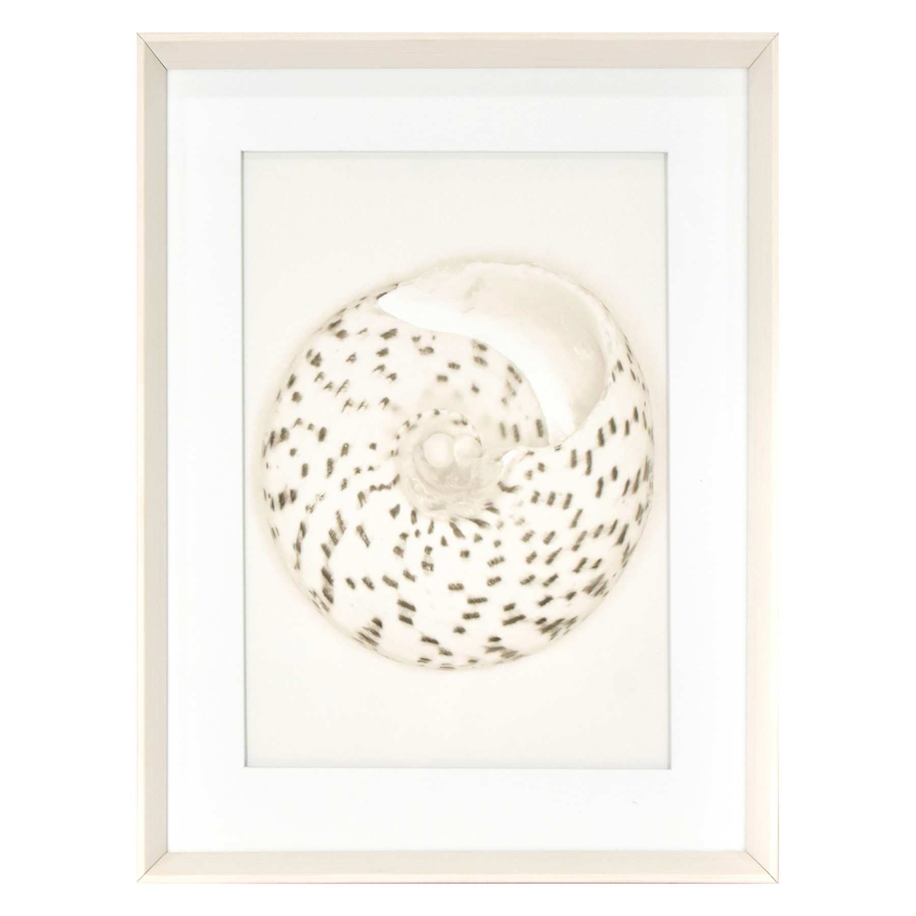Ty Pennington Glass Framed Pebble Print Wall Art, 17x21