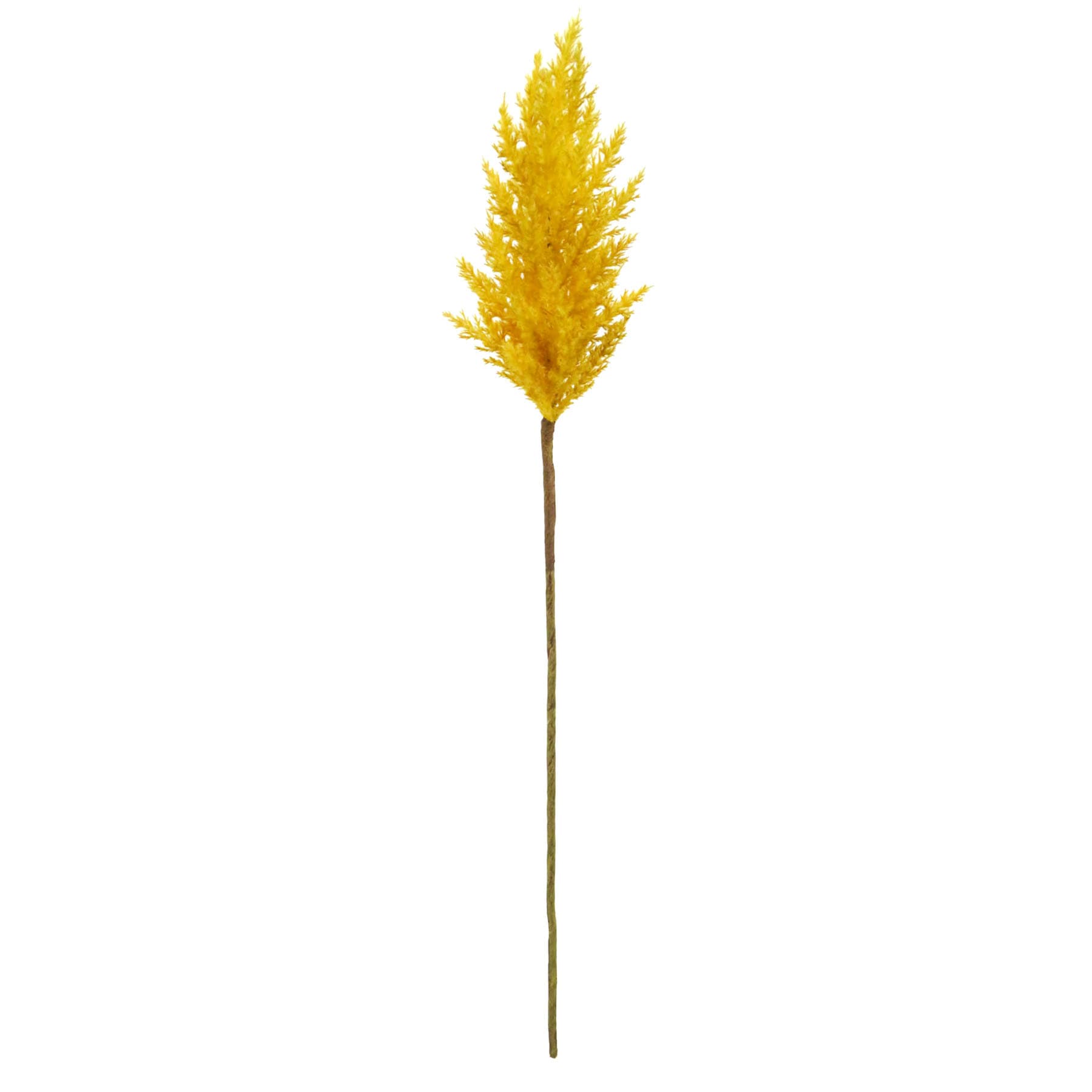 Mustard Yellow Pampas Grass Stem, 36"