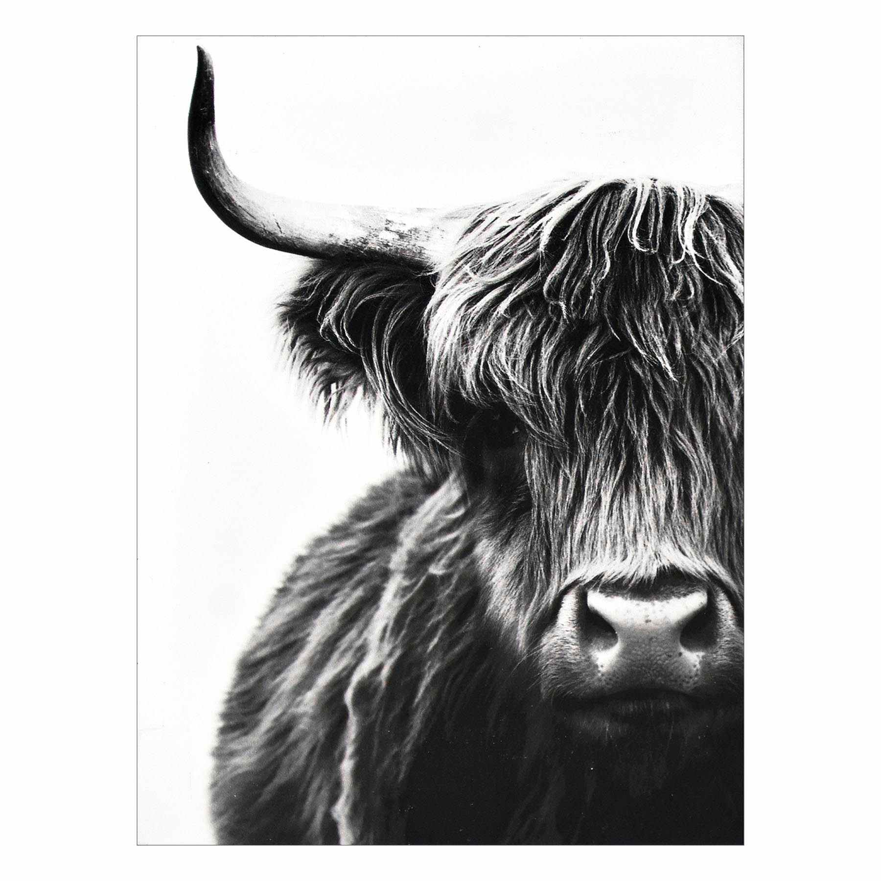 Bull Block, 6x8